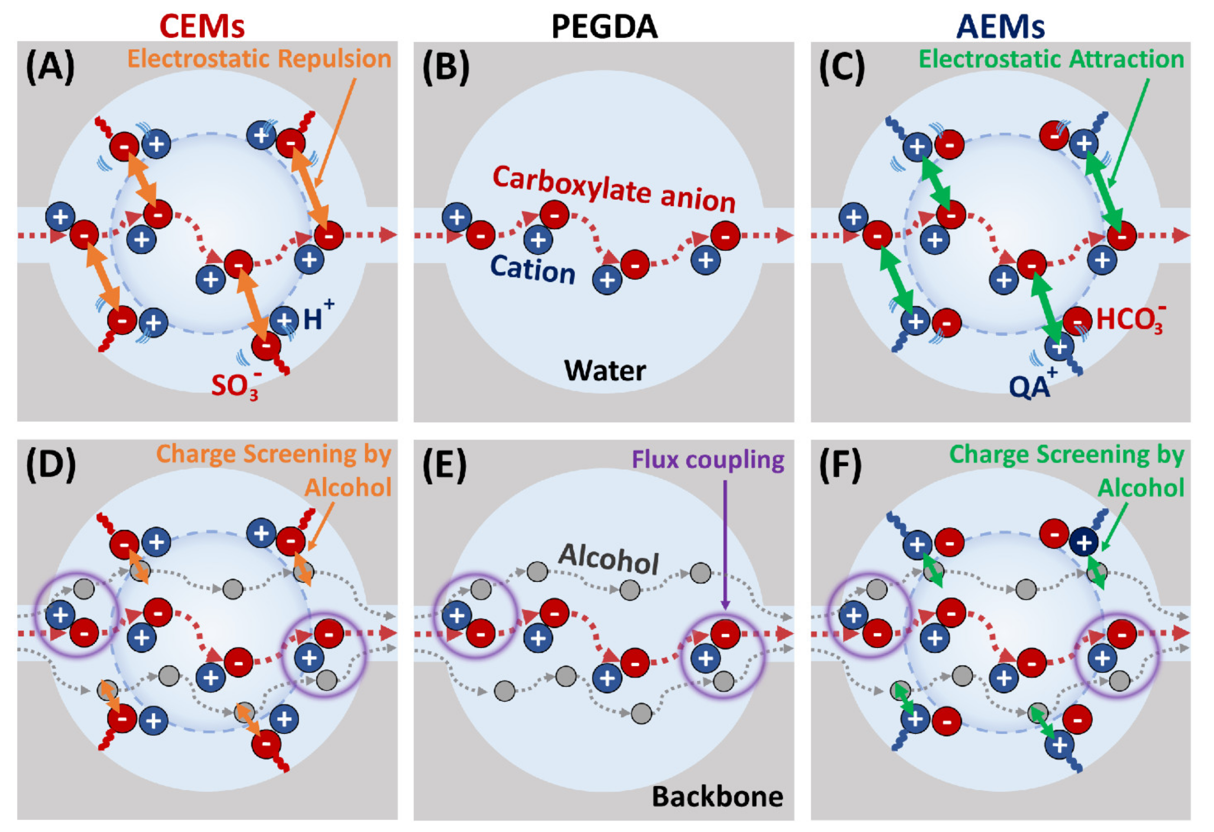 Polymers 13 02885 g001 550
