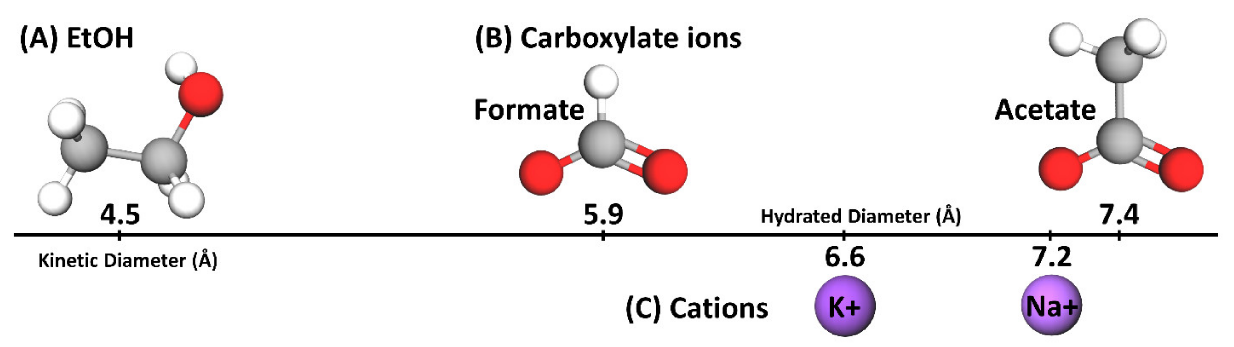 Polymers 13 02885 g003 550