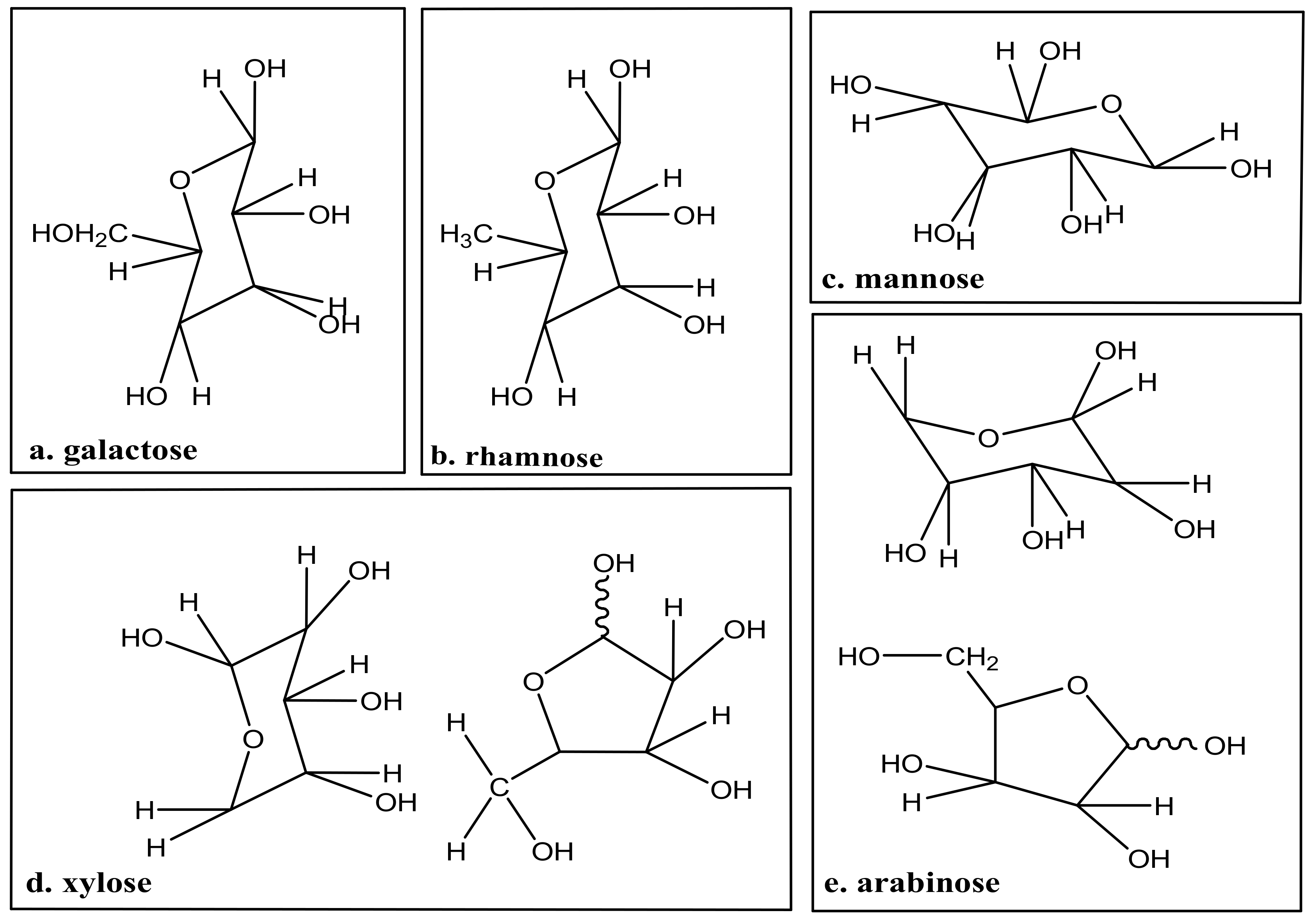 Polymers 13 02886 g002 550