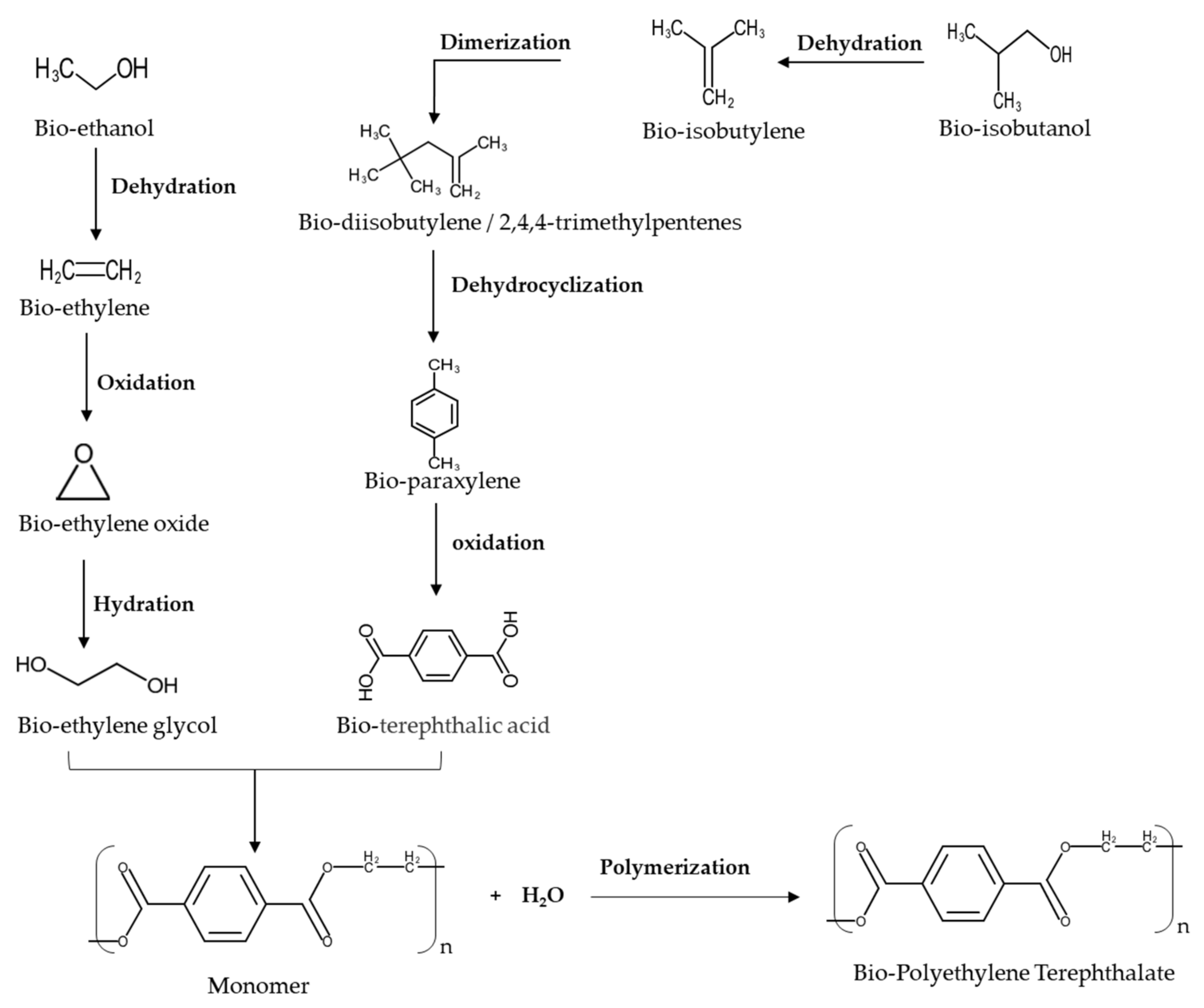 Polymers 13 02886 g006 550