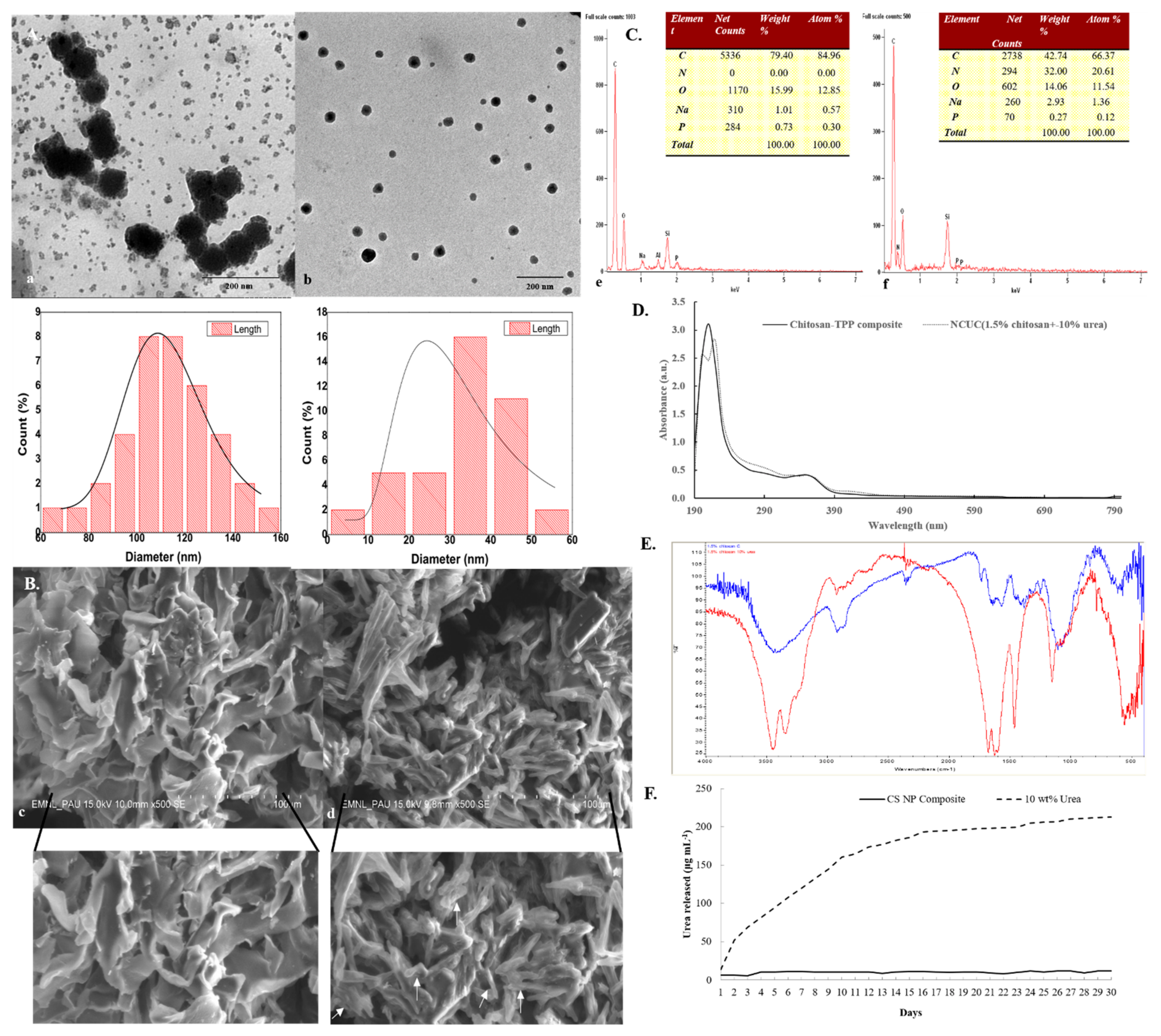 Polymers 13 02887 g001
