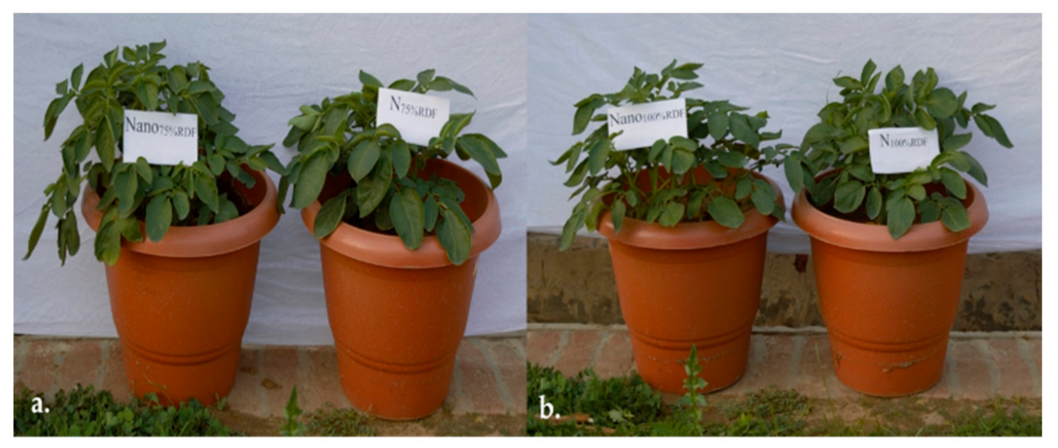 Polymers 13 02887 g006
