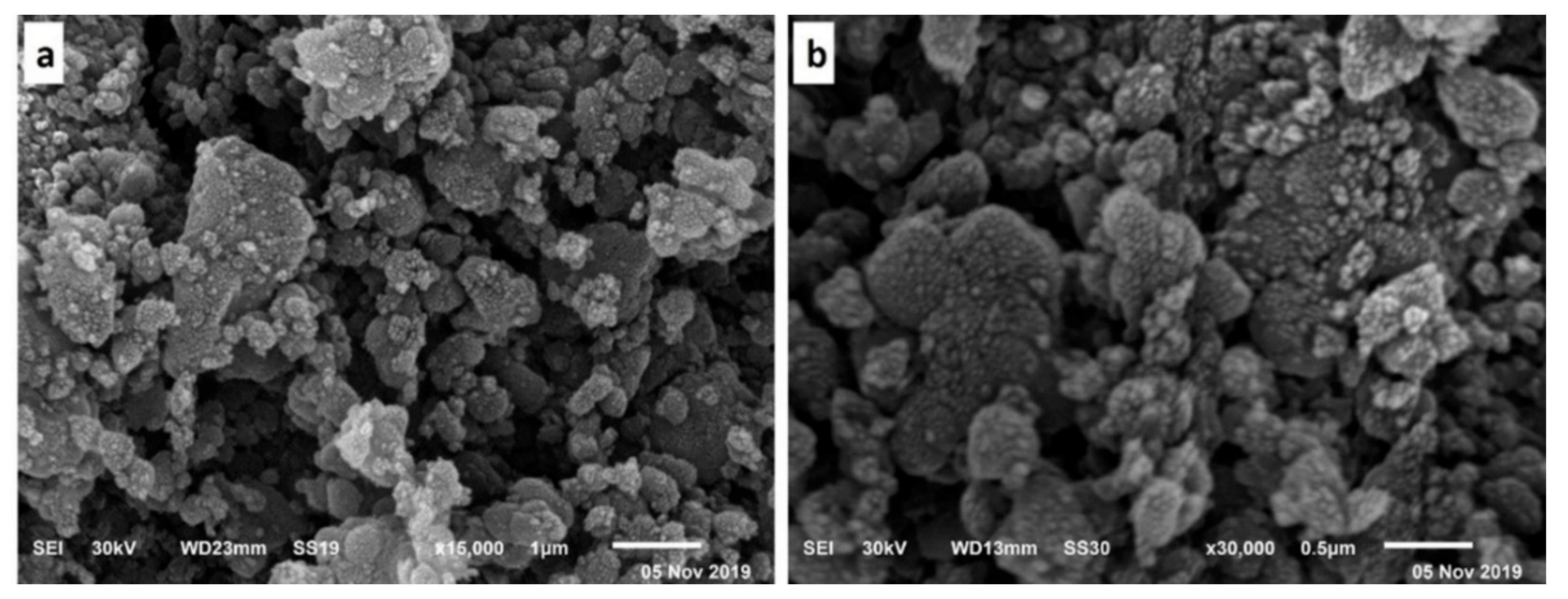 Polymers 13 02888 g001 550