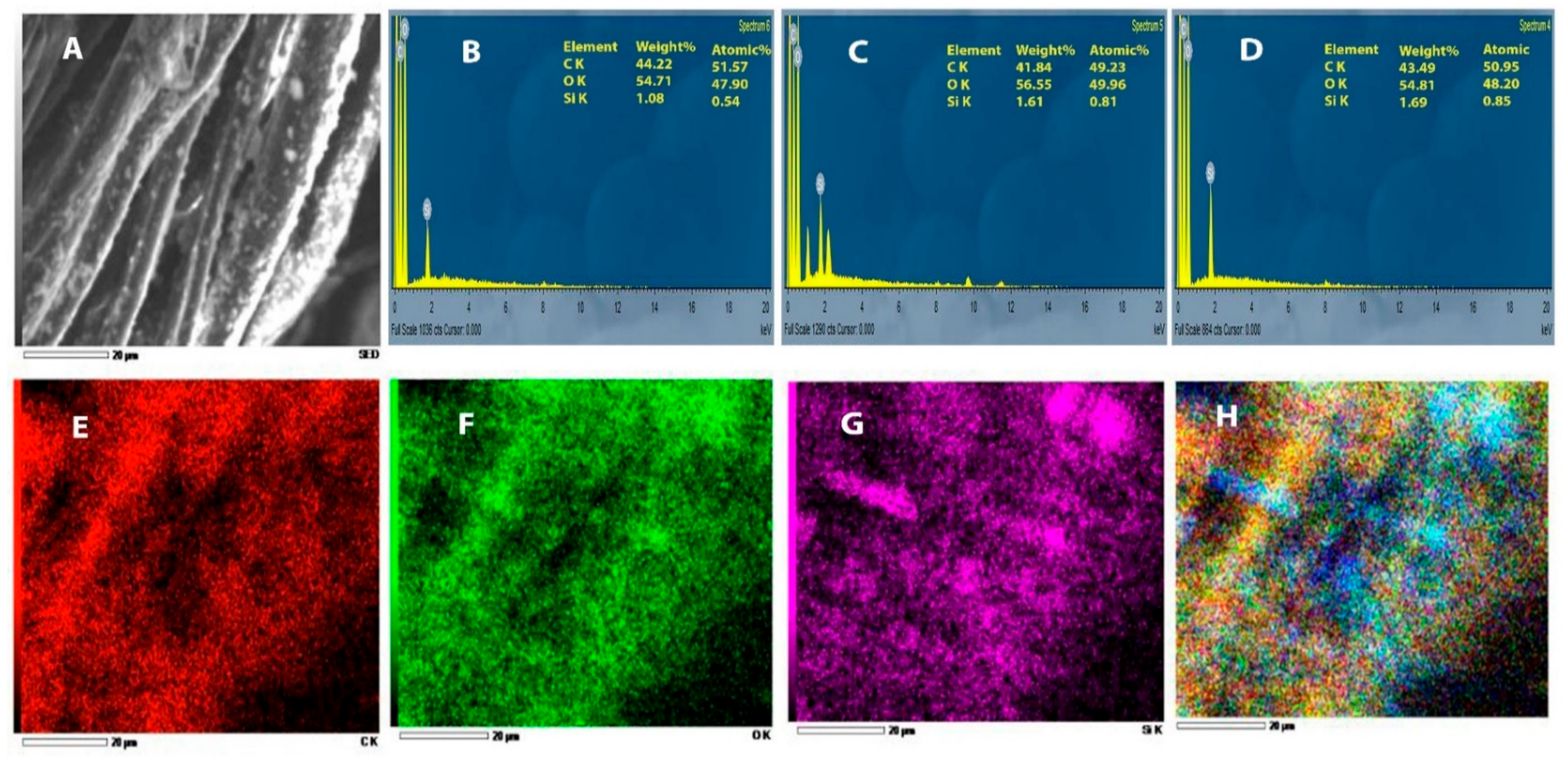 Polymers 13 02888 g005 550