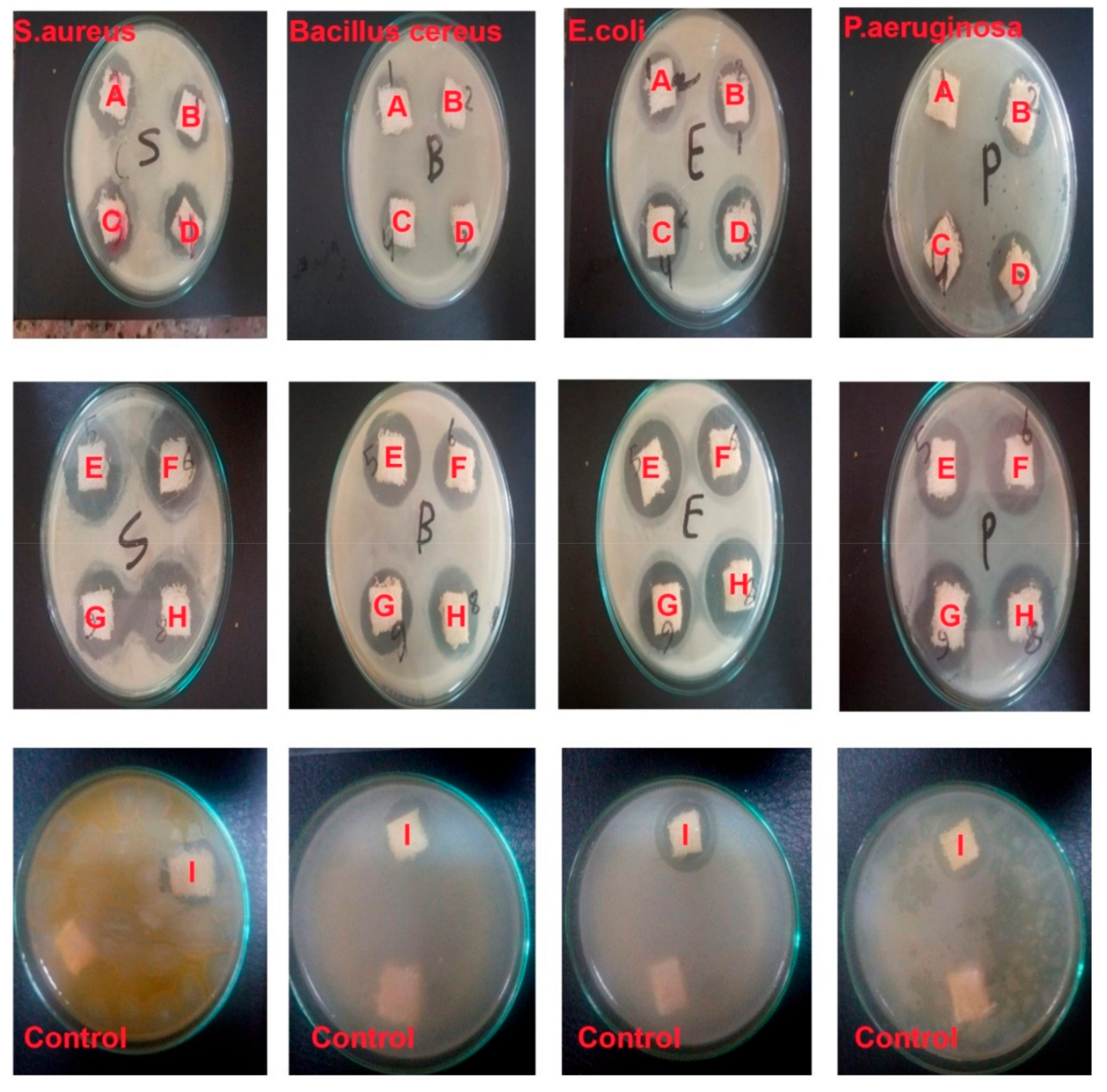 Polymers 13 02888 g006 550