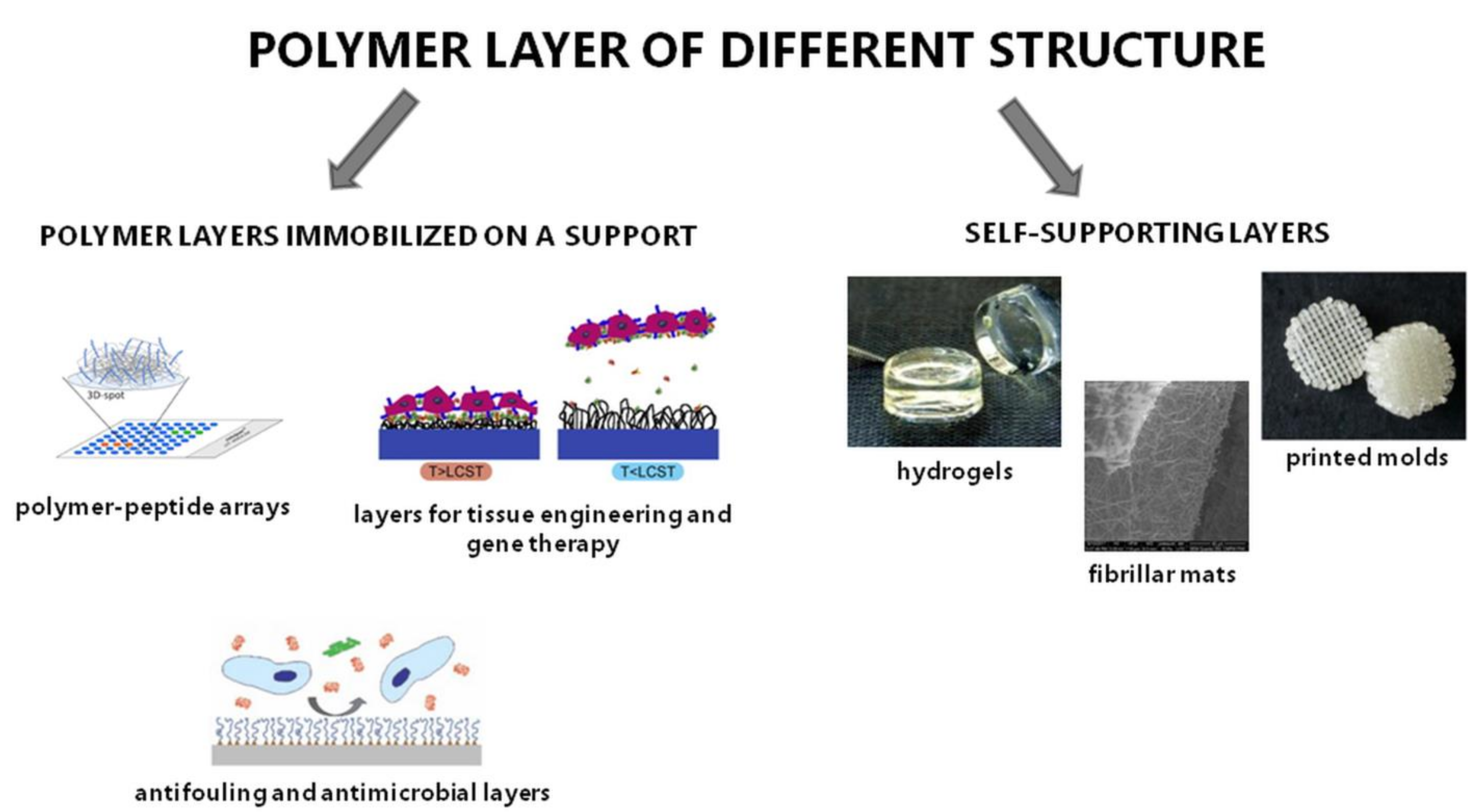 Polymers 13 02892 g007 Polymers 13 02892 g007