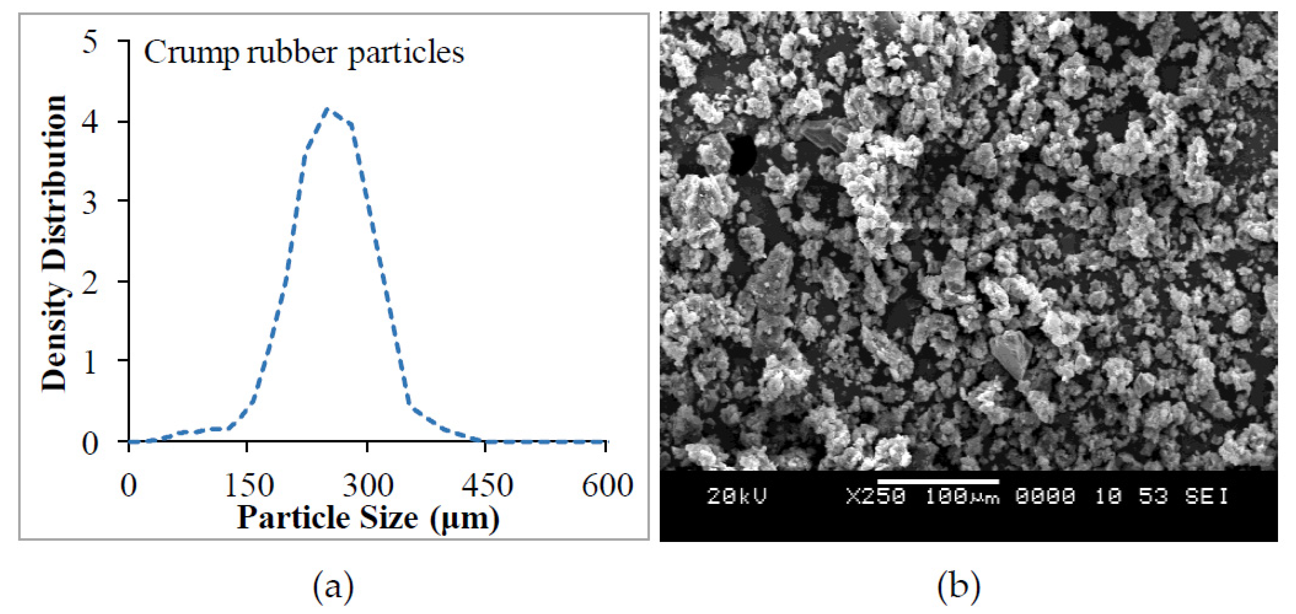 Polymers 13 02894 g001