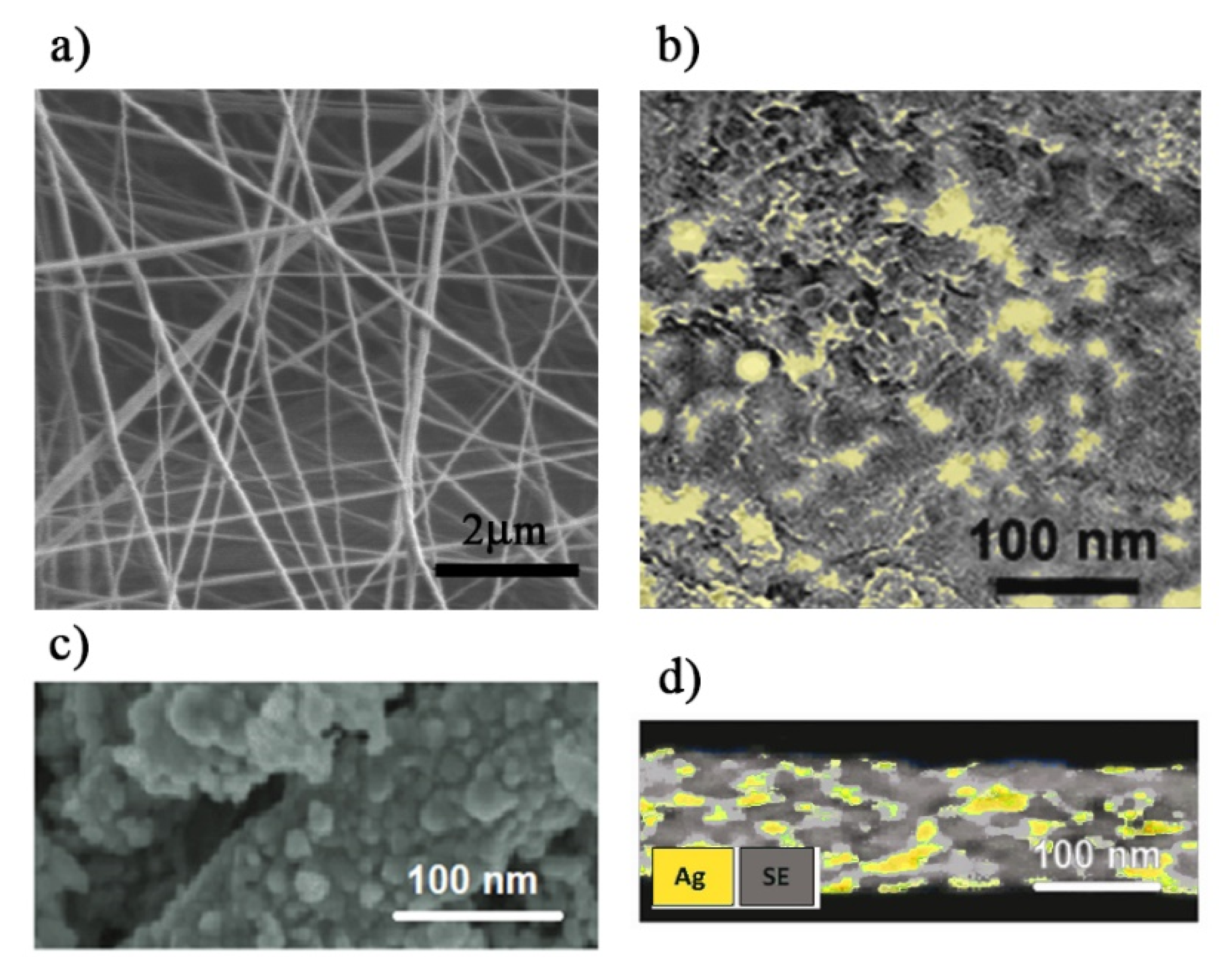 Polymers 13 02897 g005 550