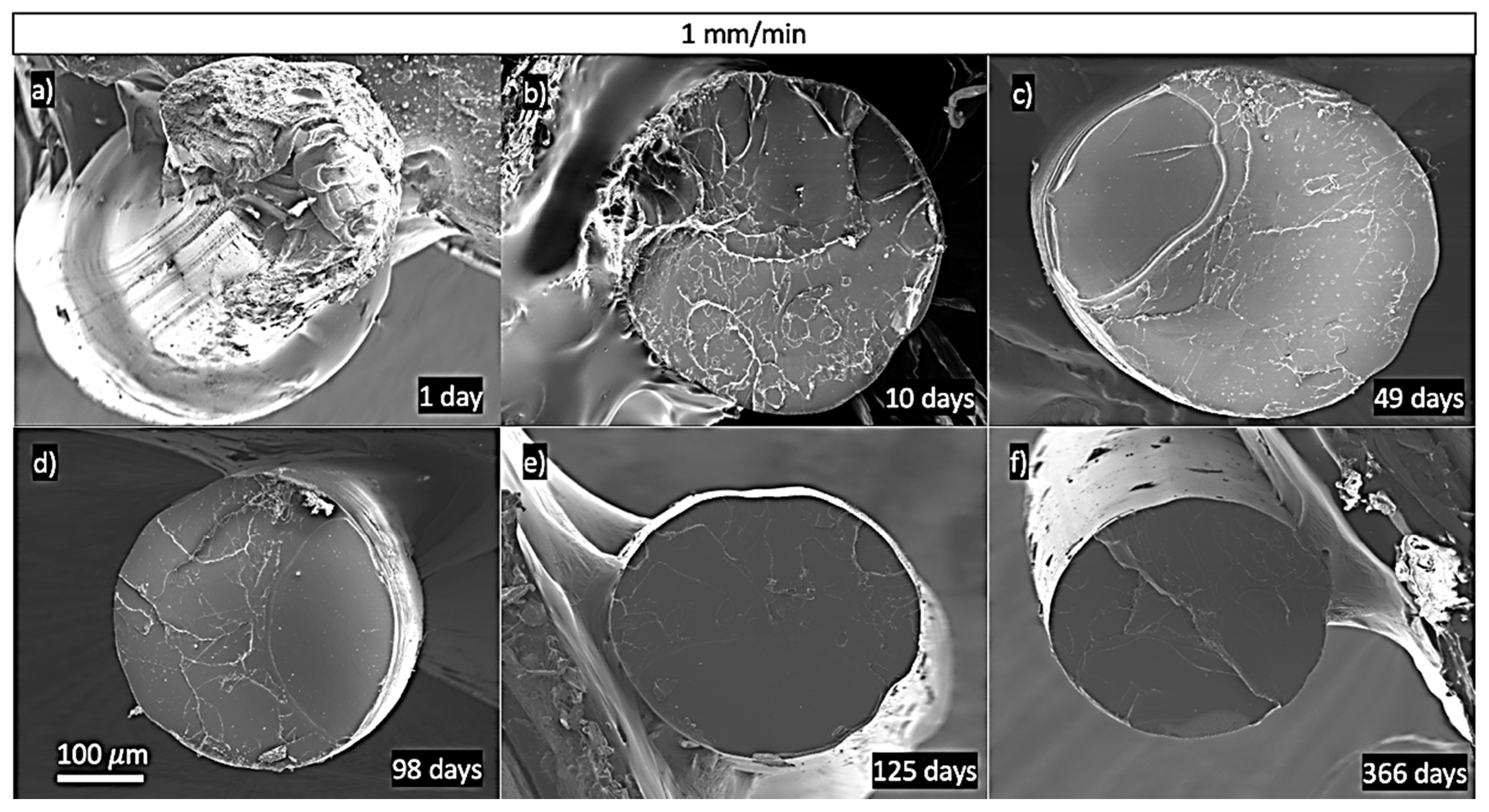 Polymers 13 02899 g012 550