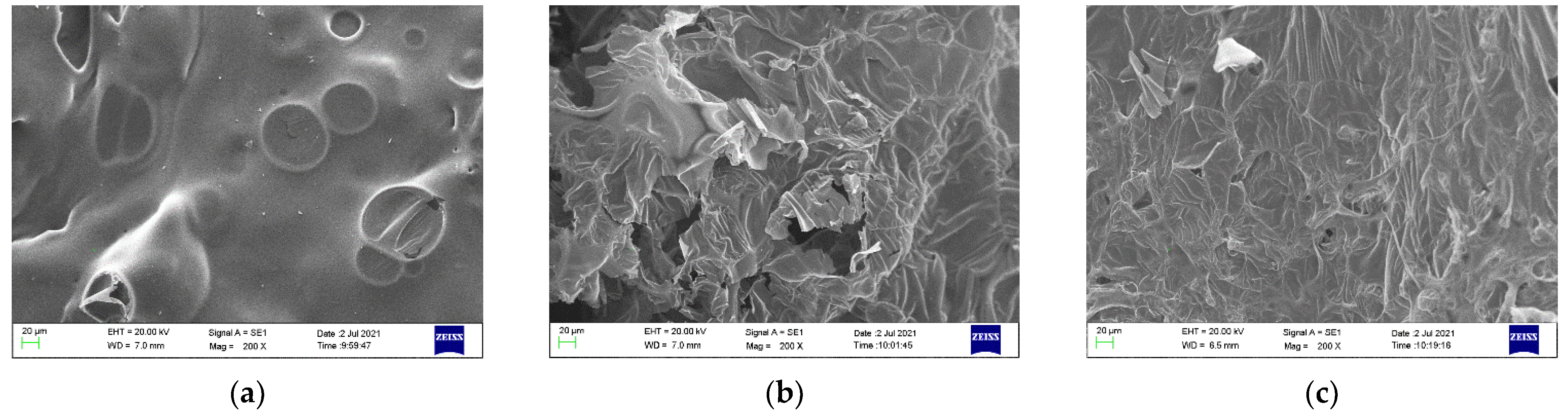 Polymers 13 02900 g009
