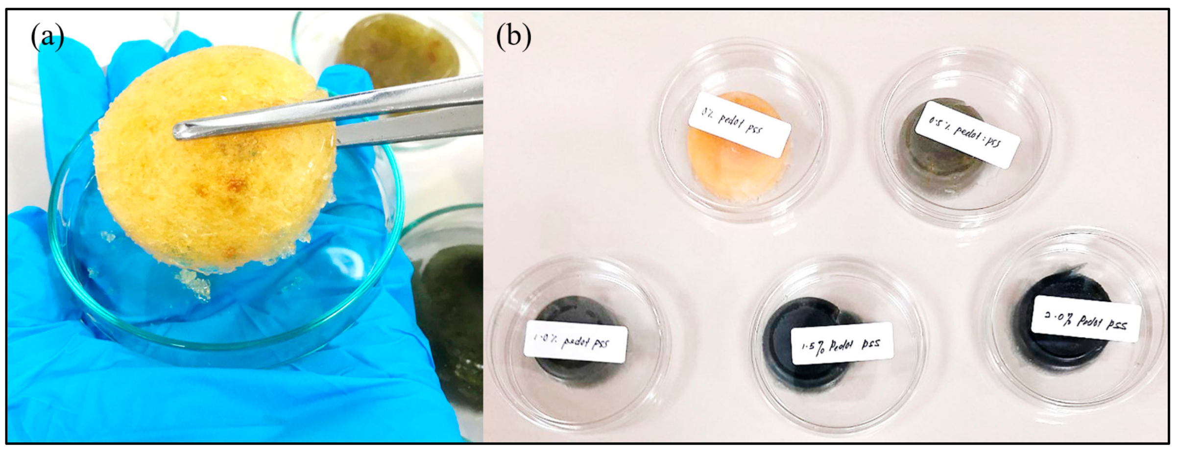 Polymers 13 02901 g001