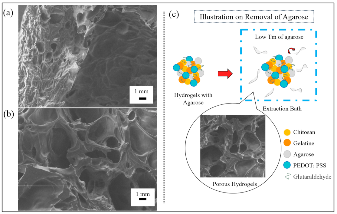 Polymers 13 02901 g002