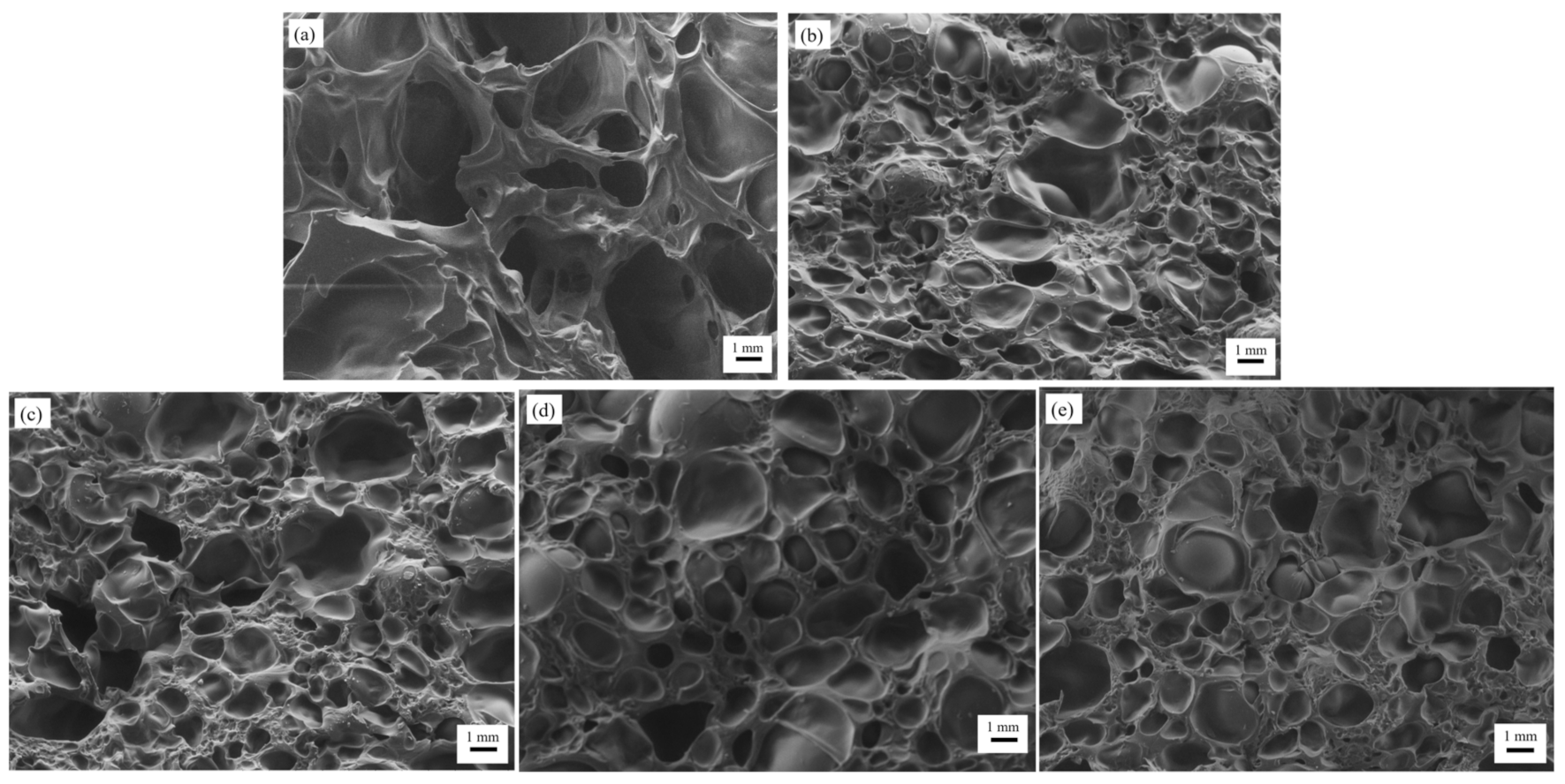 Polymers 13 02901 g003