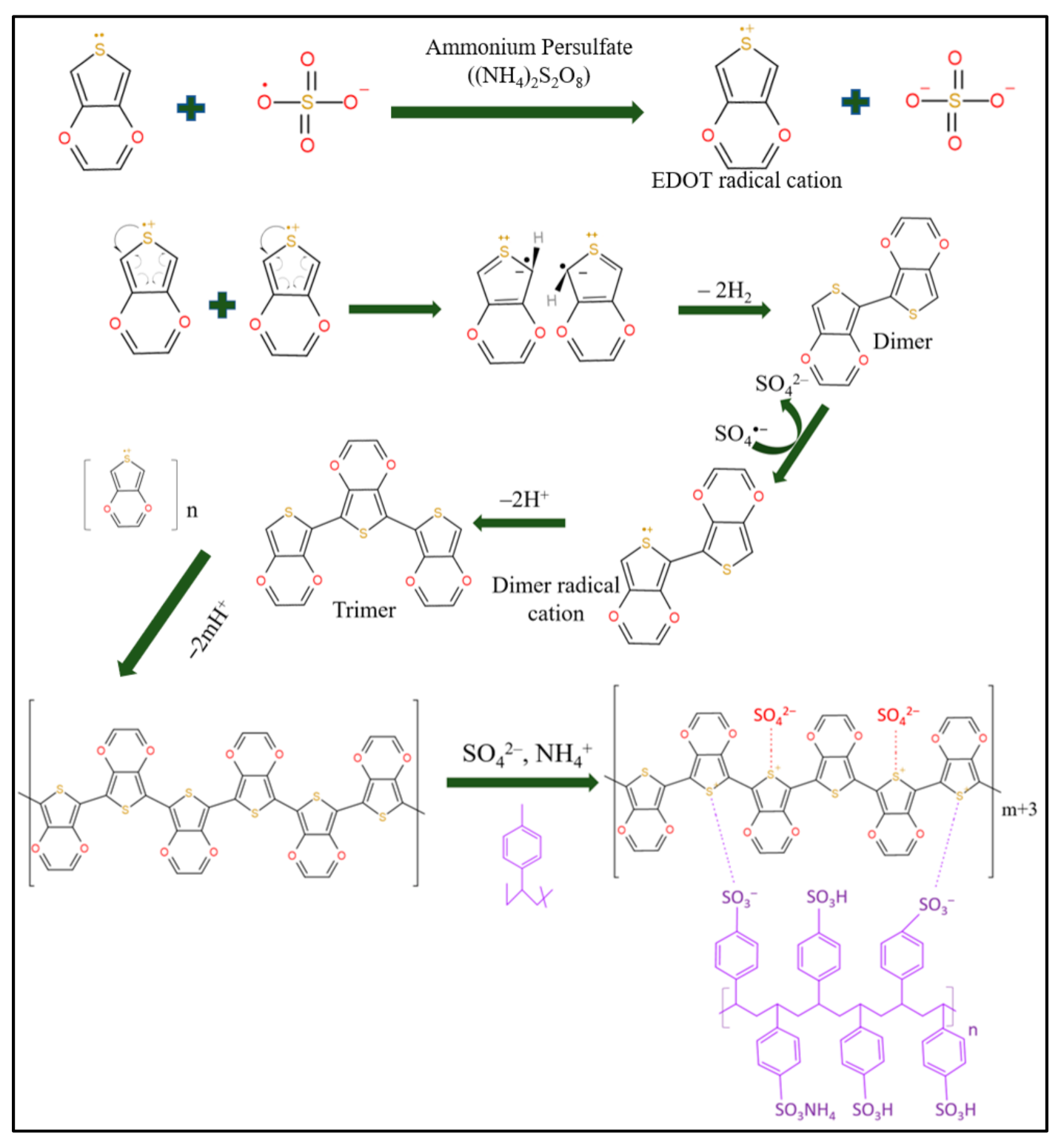 Polymers 13 02901 g005