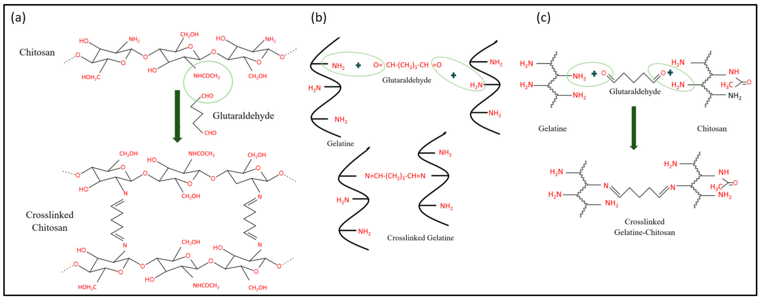 Polymers 13 02901 g010