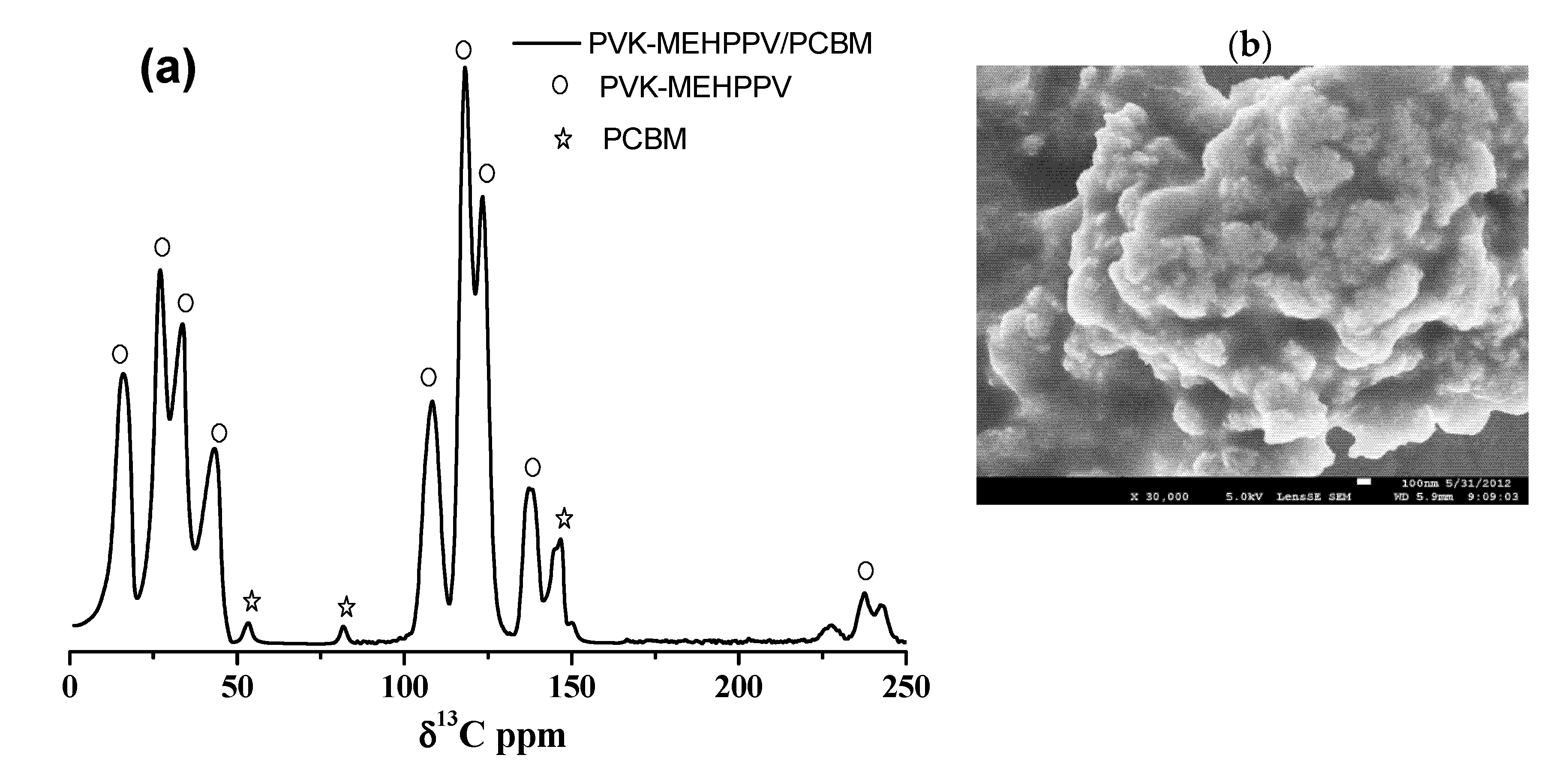 Polymers 13 02902 g002