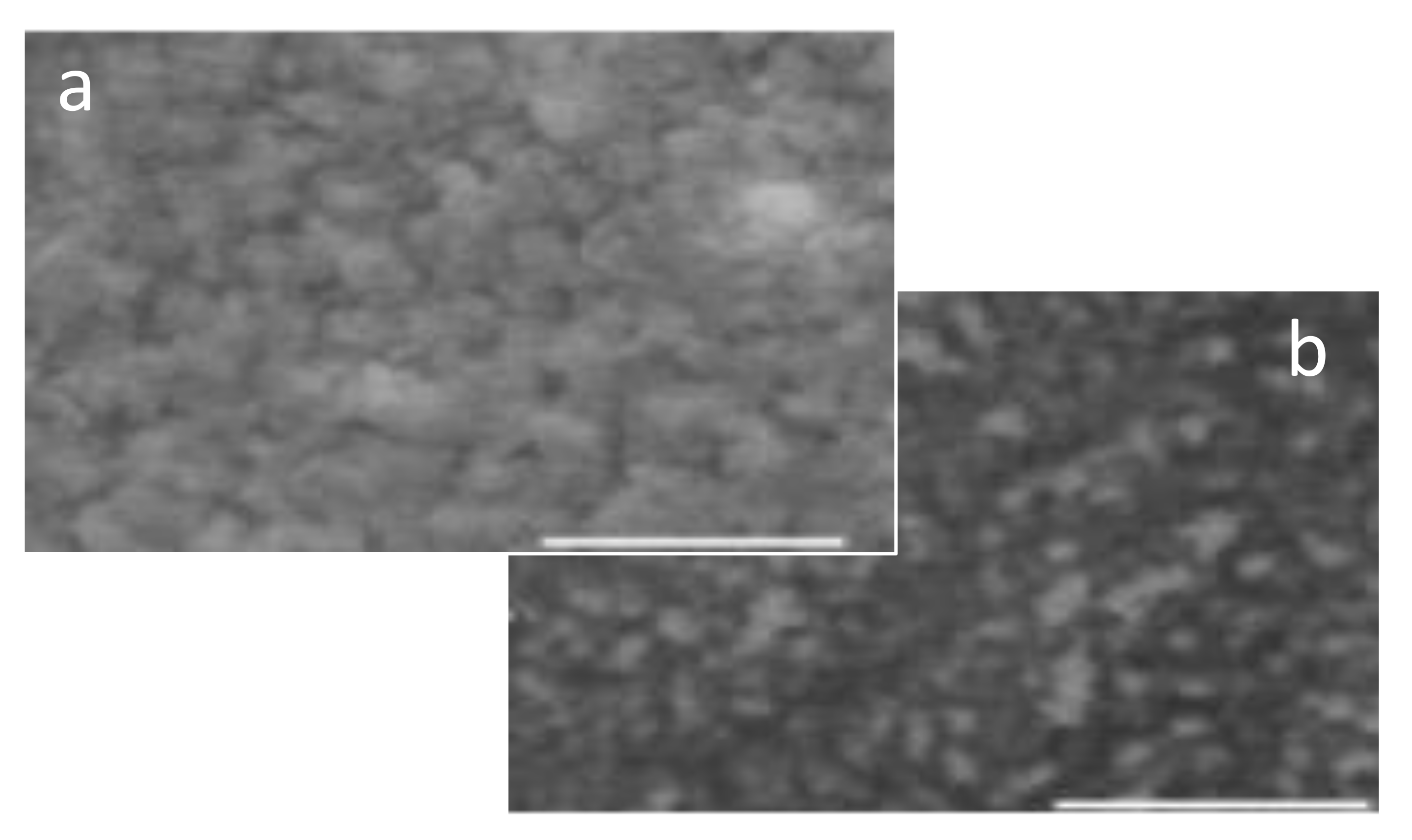 Polymers 13 02904 g003 550