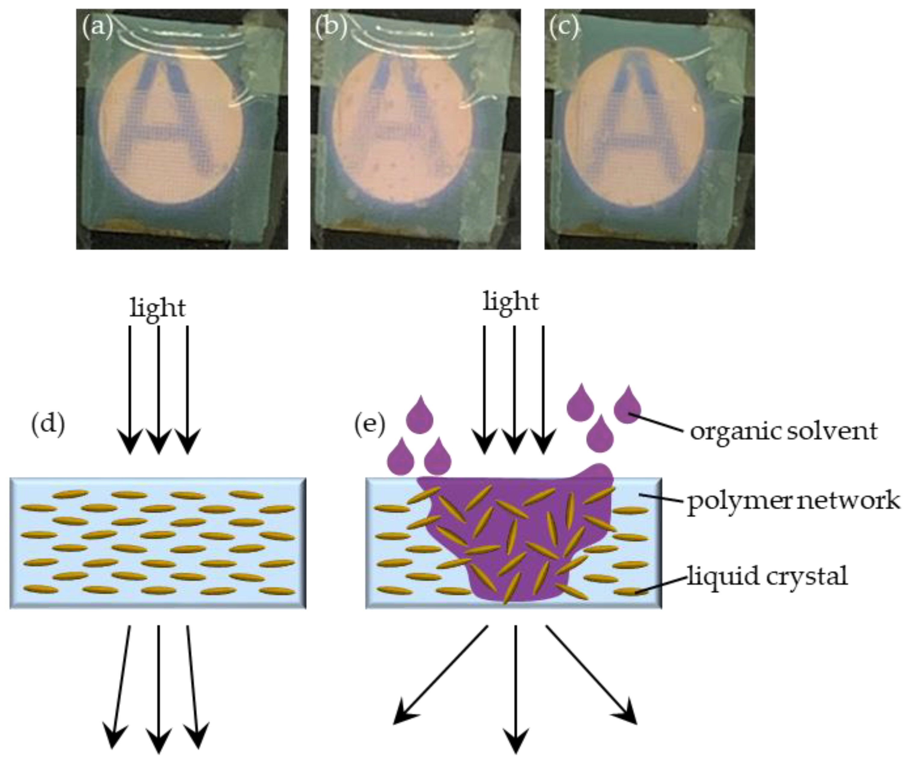 Polymers 13 02906 g005 550