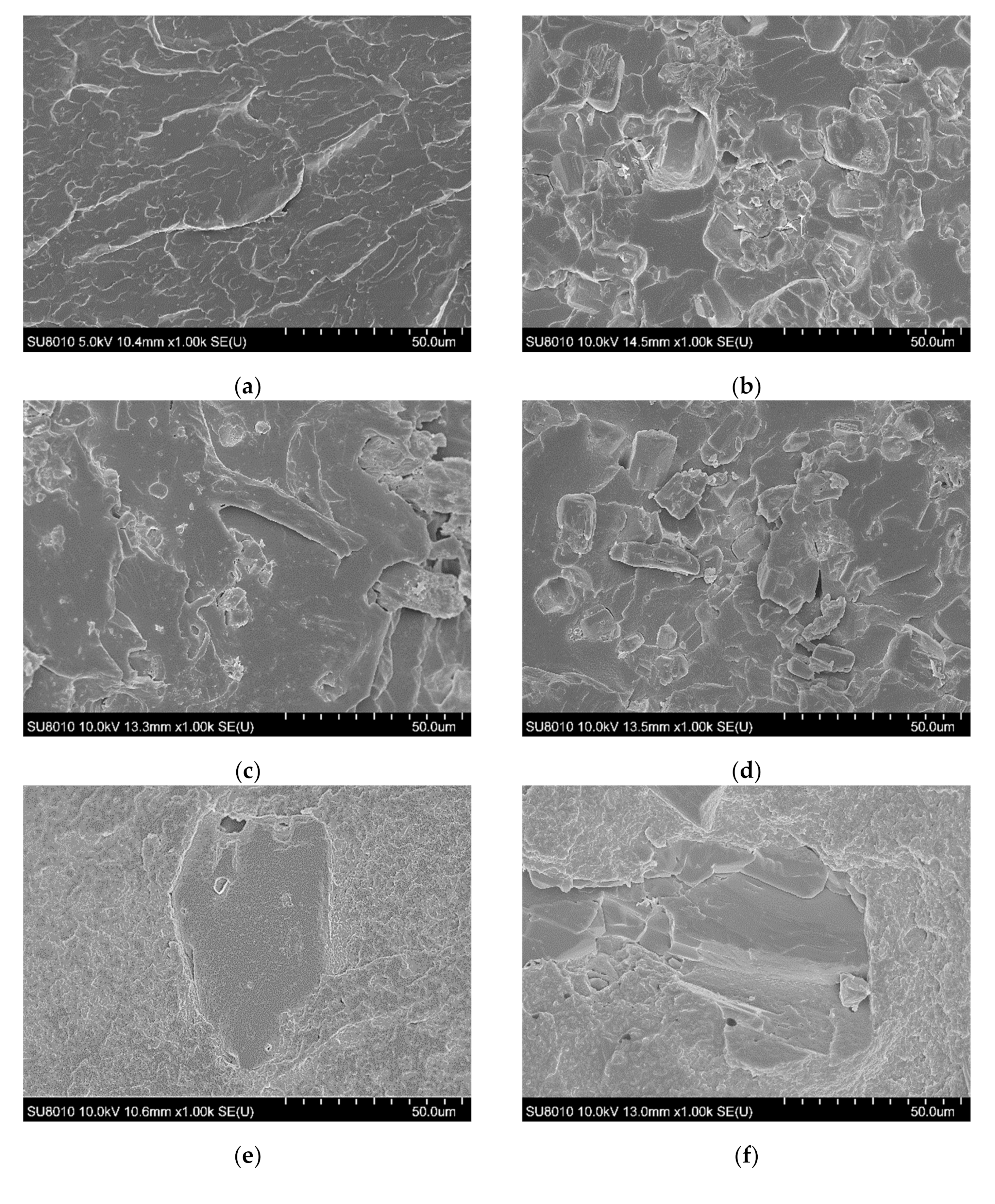 Polymers 13 02909 g002a