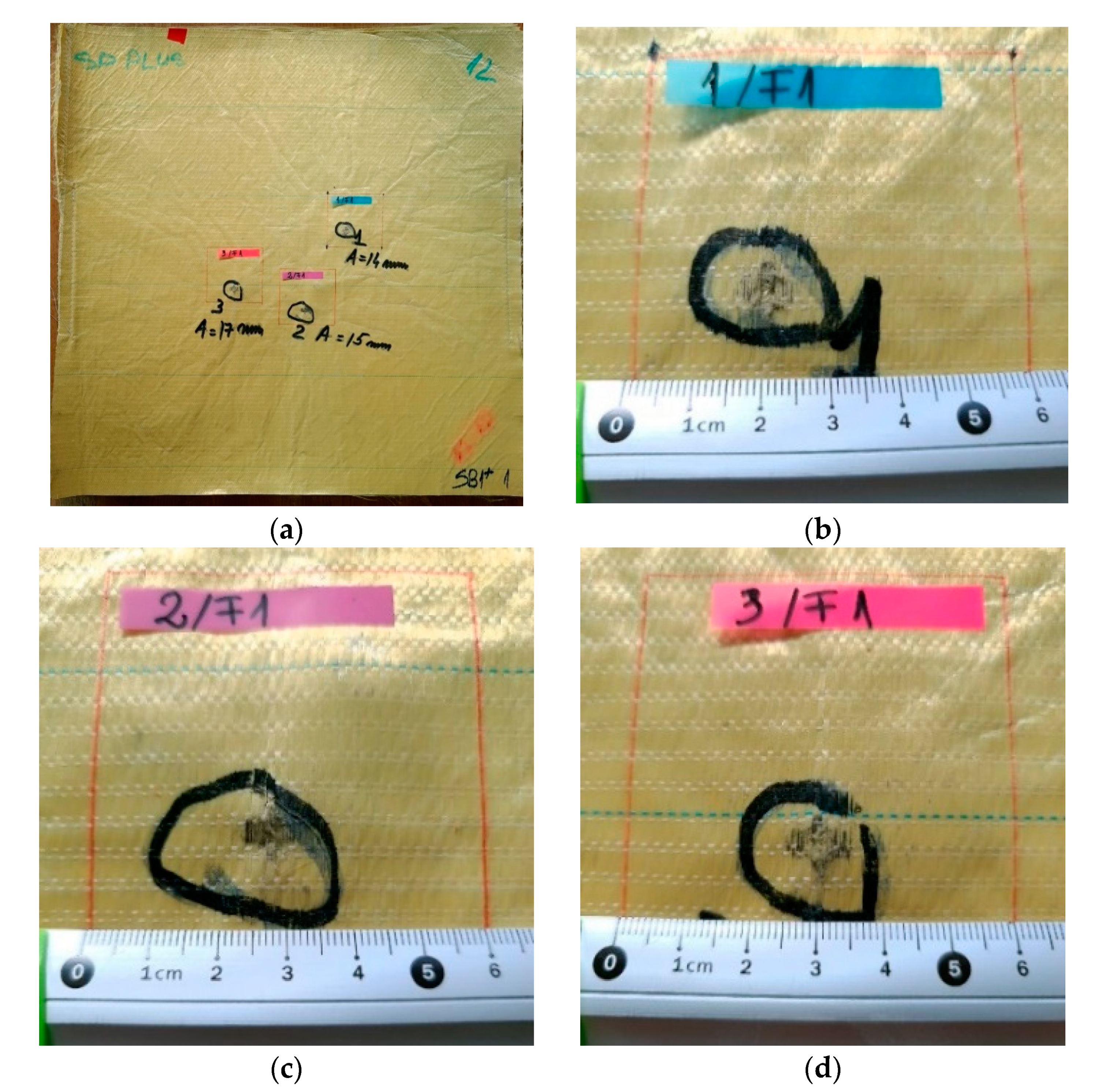 Polymers 13 02912 g007 550