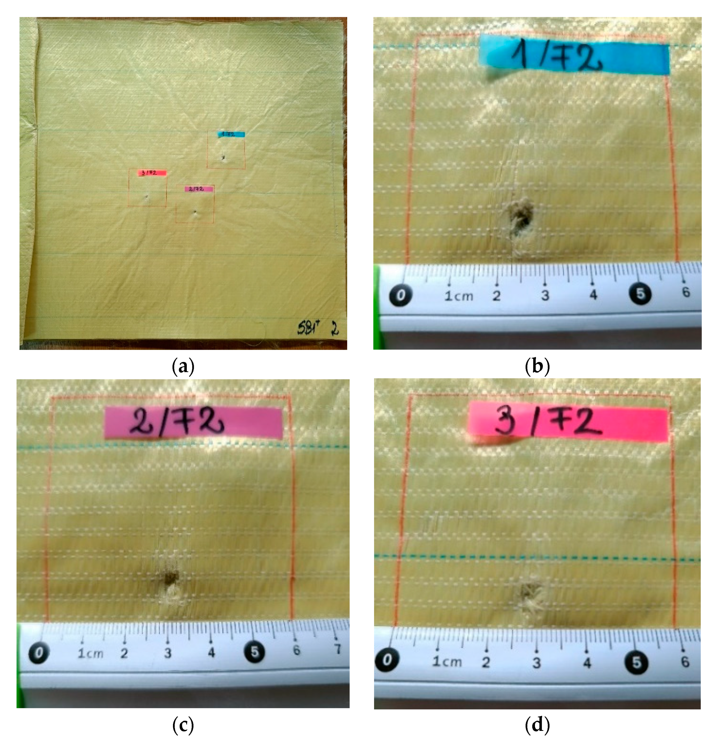Polymers 13 02912 g008 550
