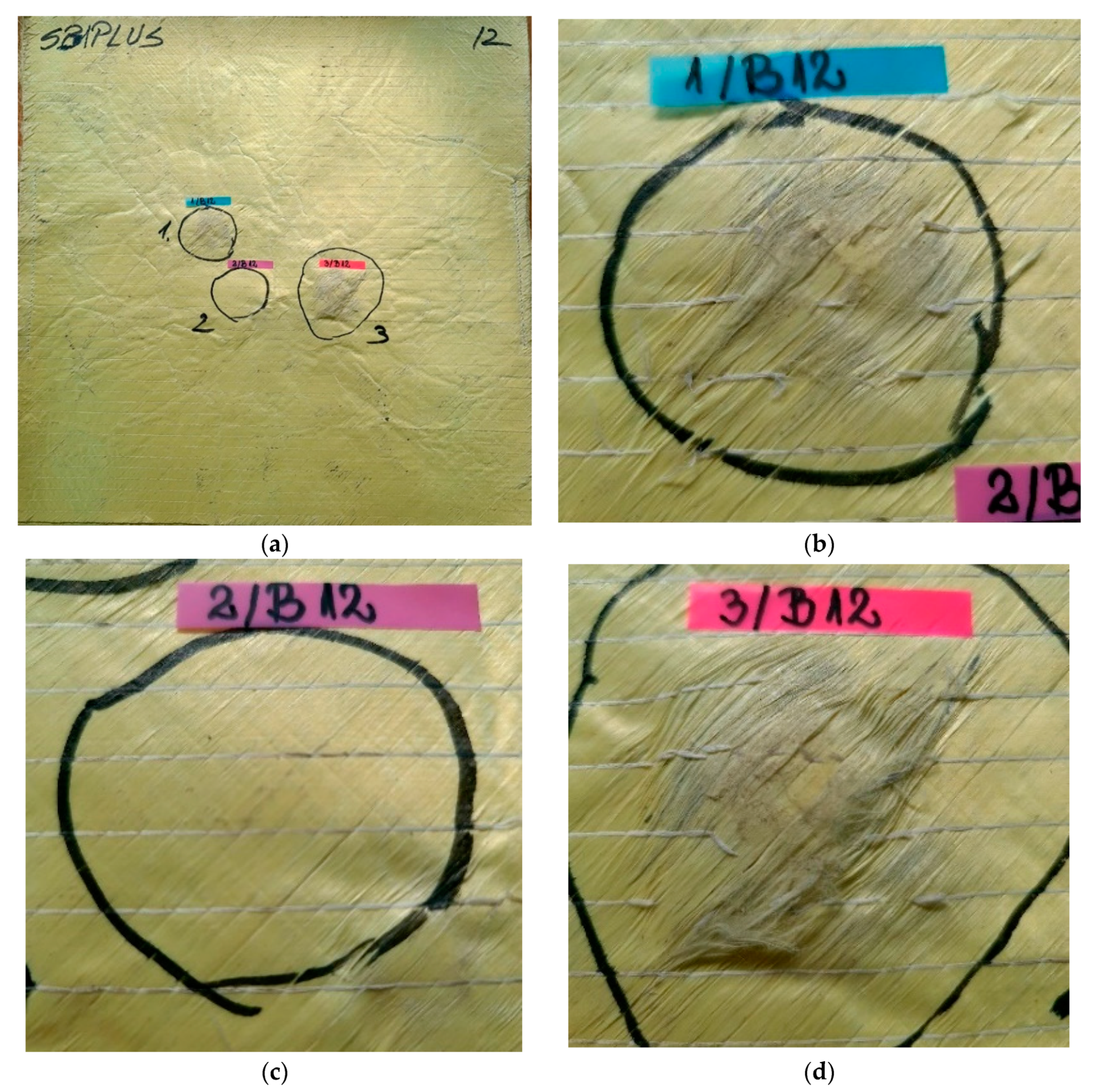 Polymers 13 02912 g012 550