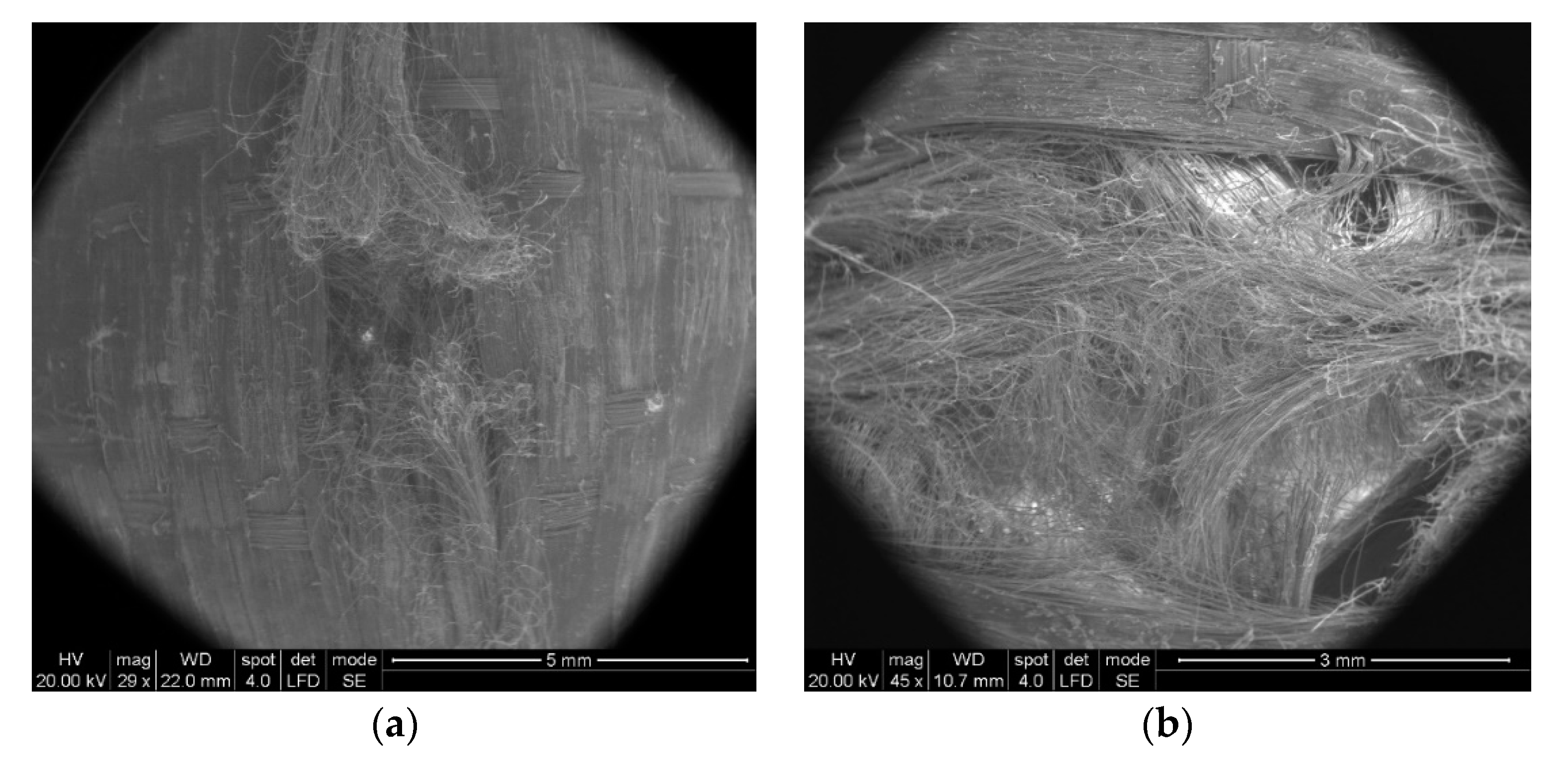 Polymers 13 02912 g013 550
