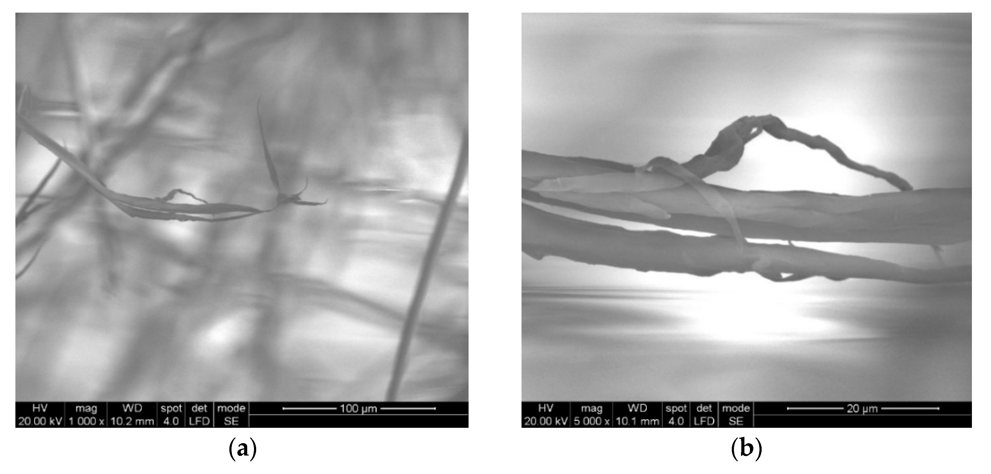 Polymers 13 02912 g014 550