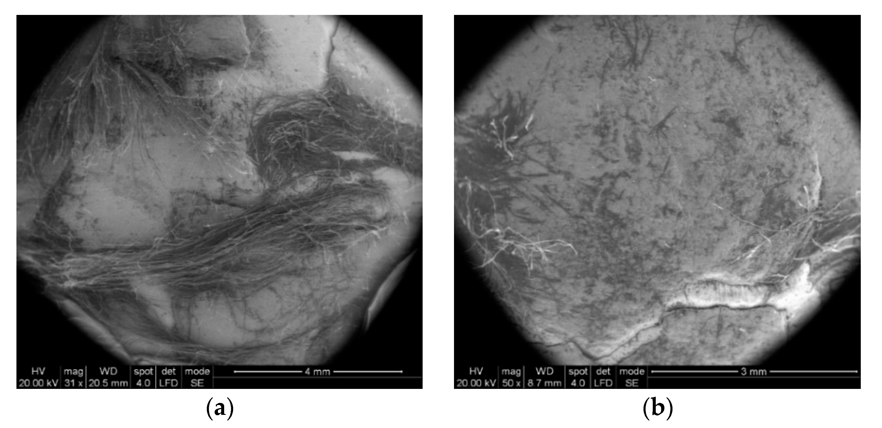 Polymers 13 02912 g018 550