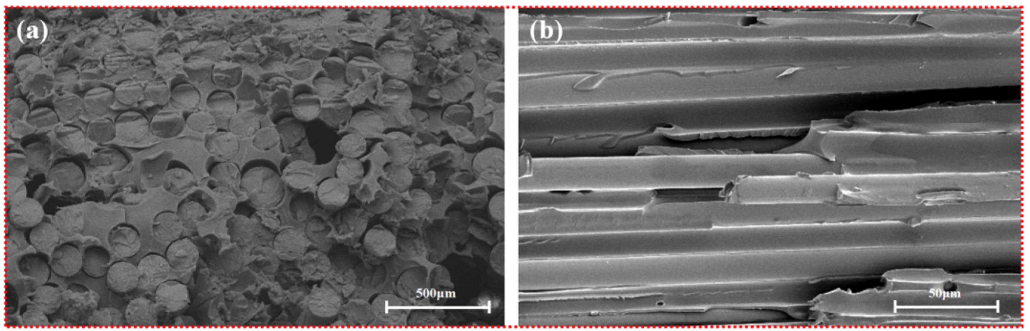 Polymers 13 02913 g006