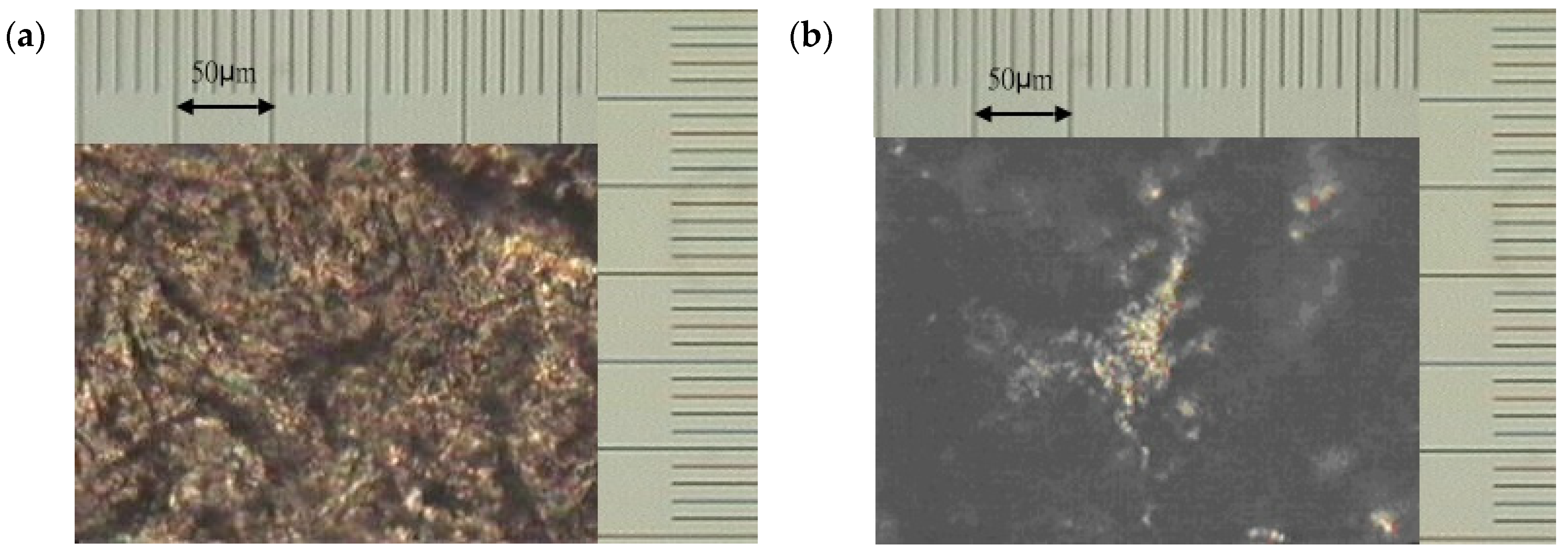 Polymers 13 02917 g002a 550