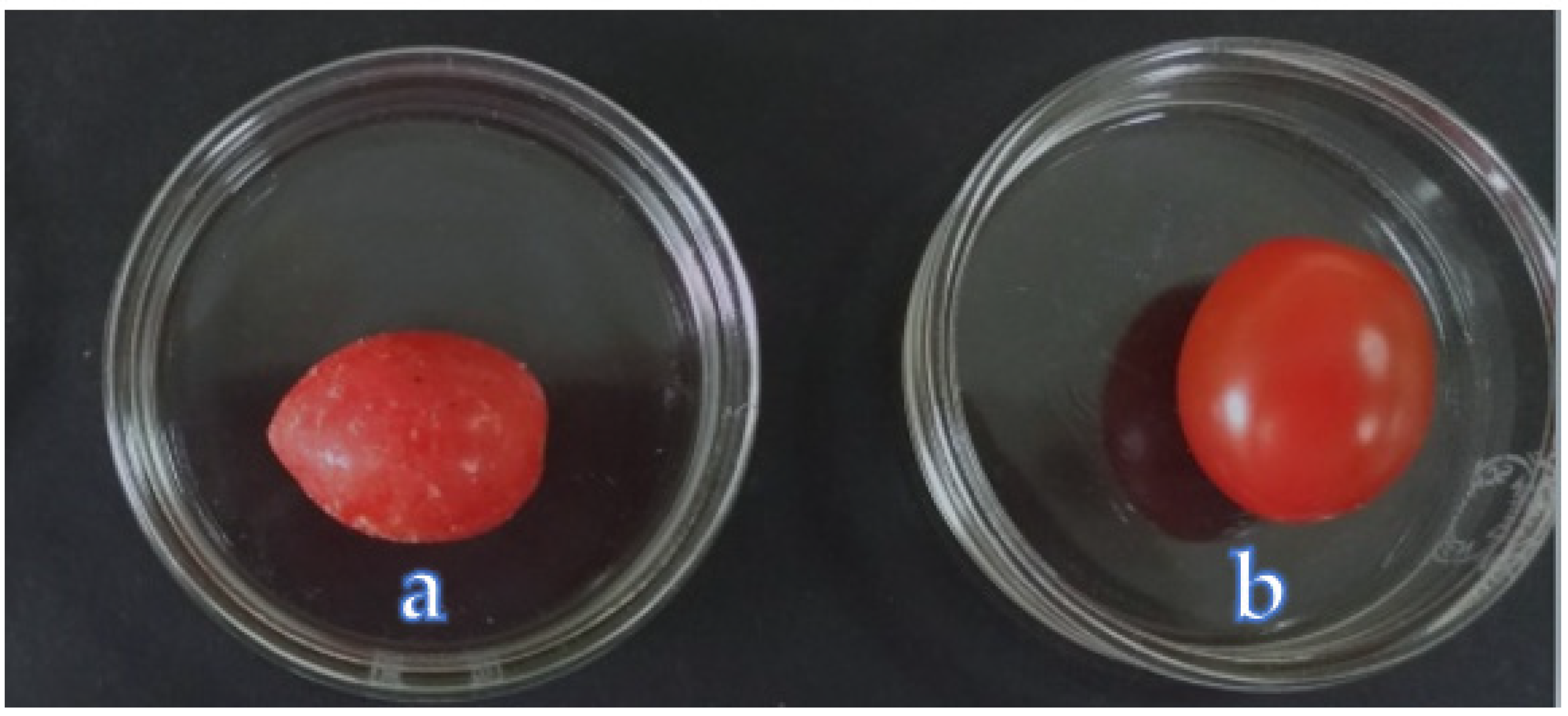 Polymers 13 02919 g001