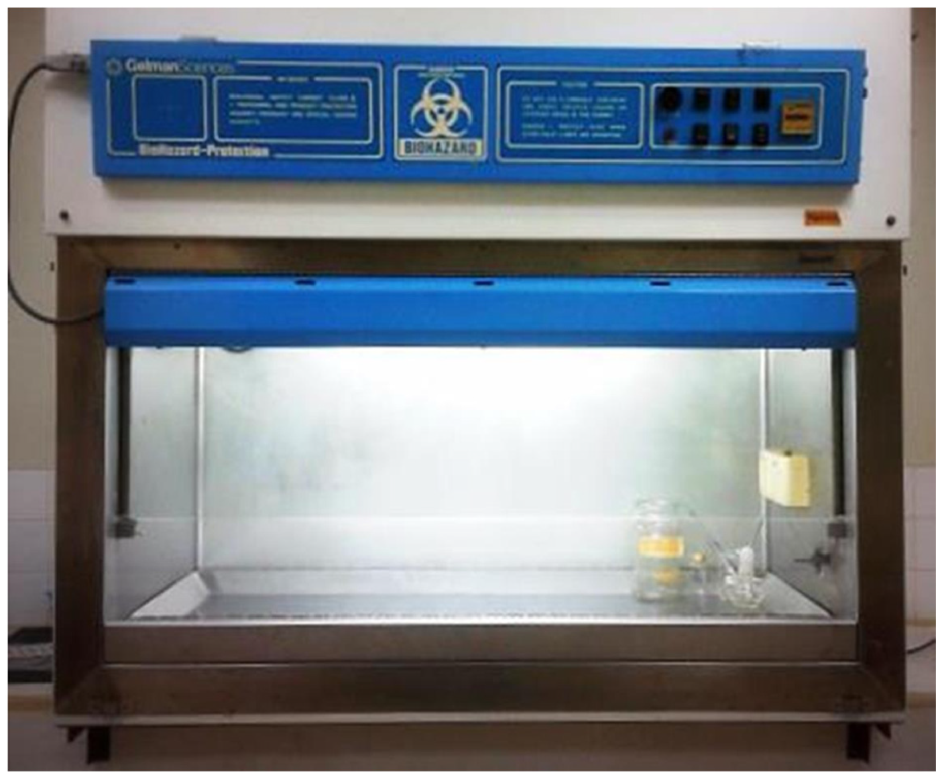 Polymers 13 02919 g002