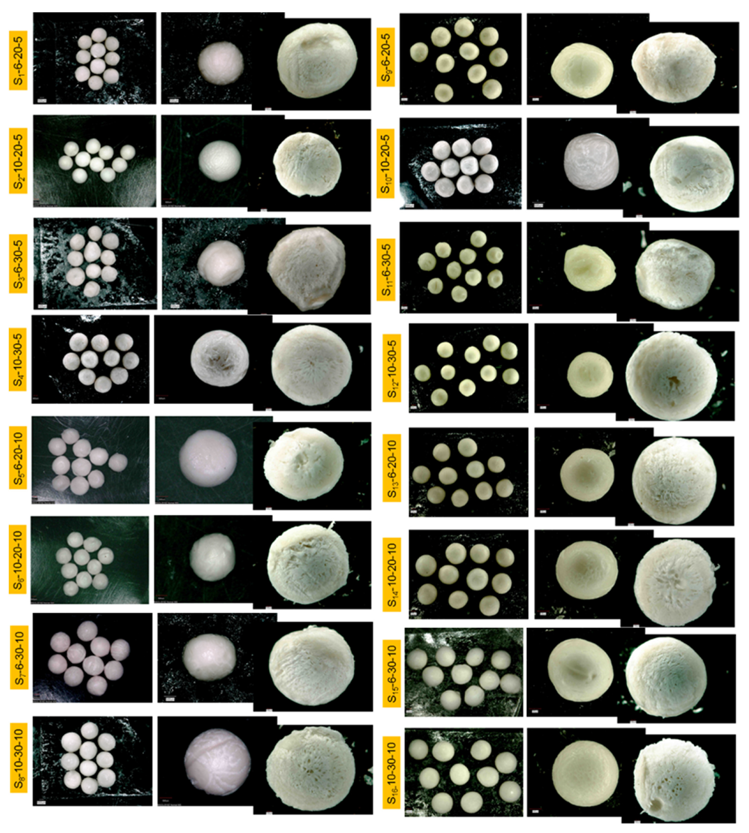 Polymers 13 02920 g004 Polymers 13 02920 g004