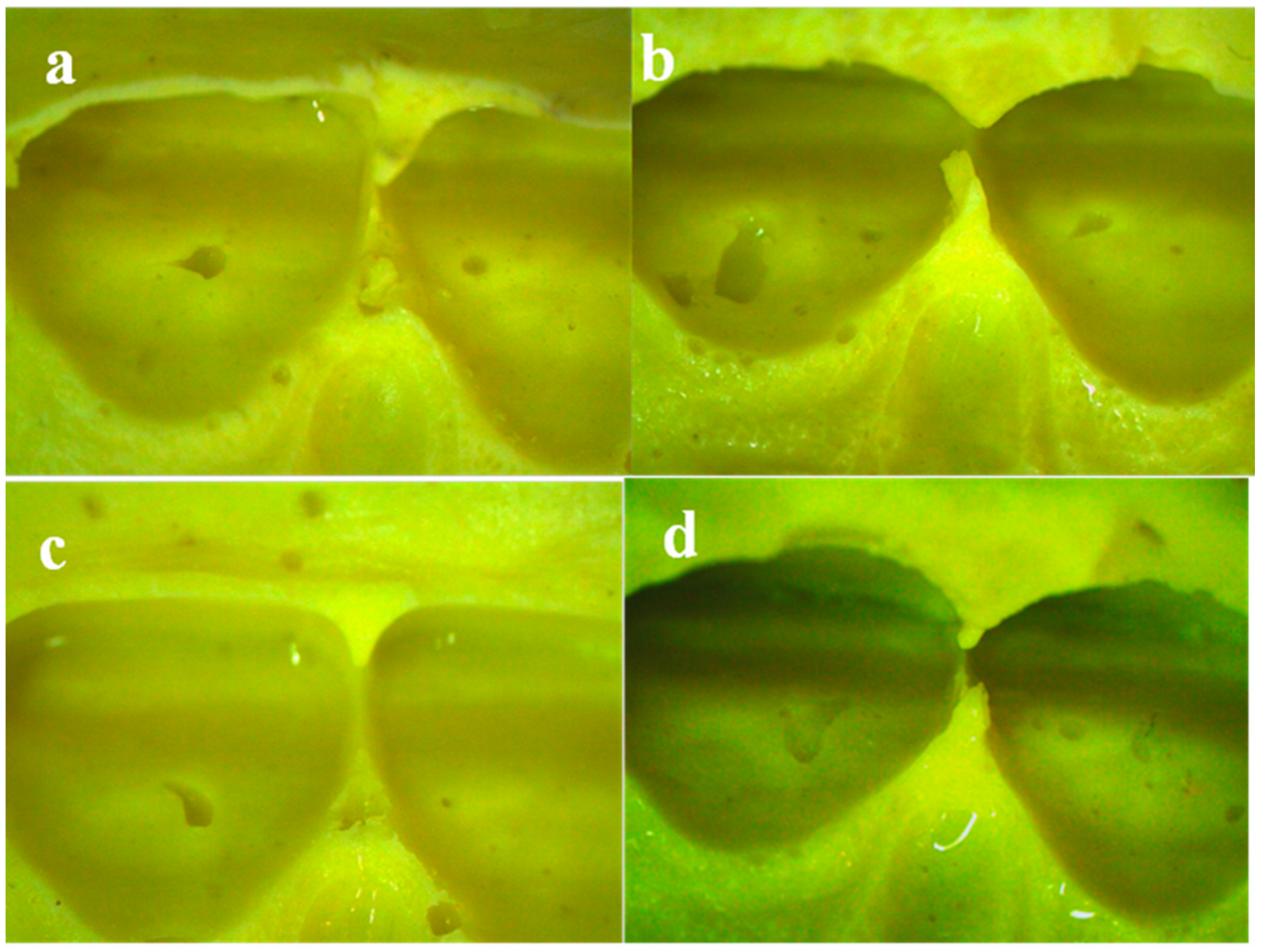Polymers 13 02923 g008