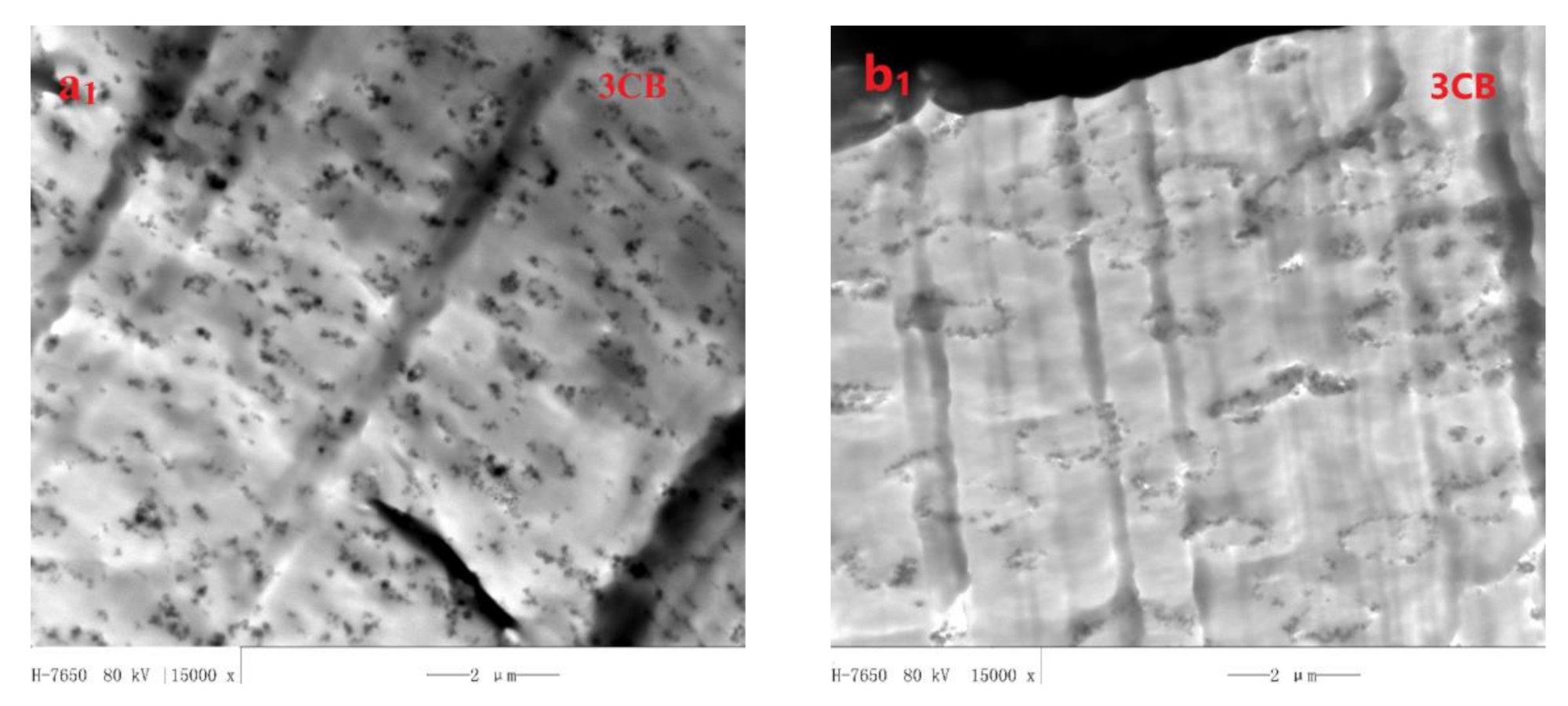 Polymers 13 02926 g002a 550