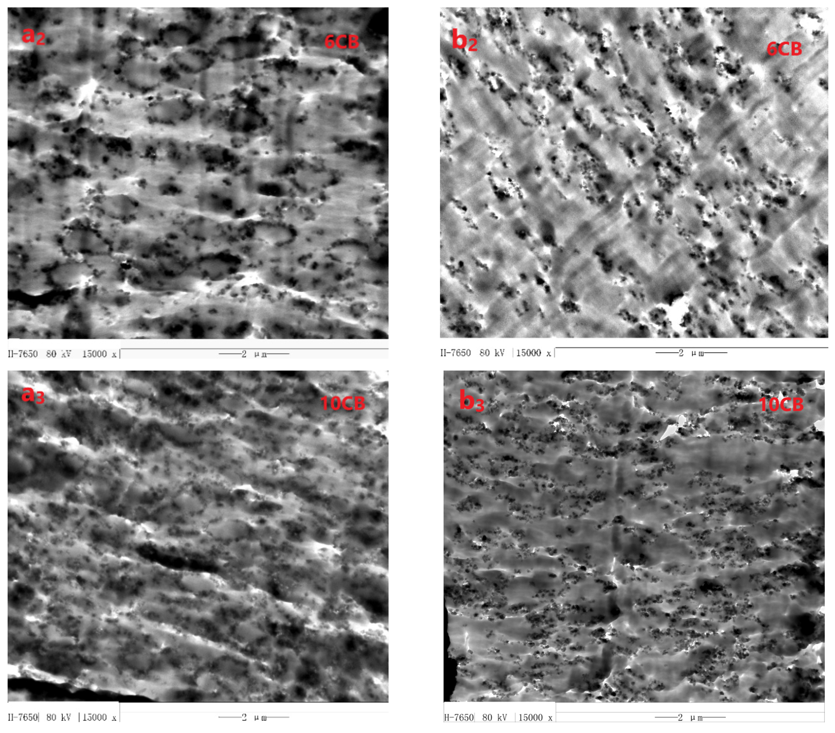 Polymers 13 02926 g002b 550