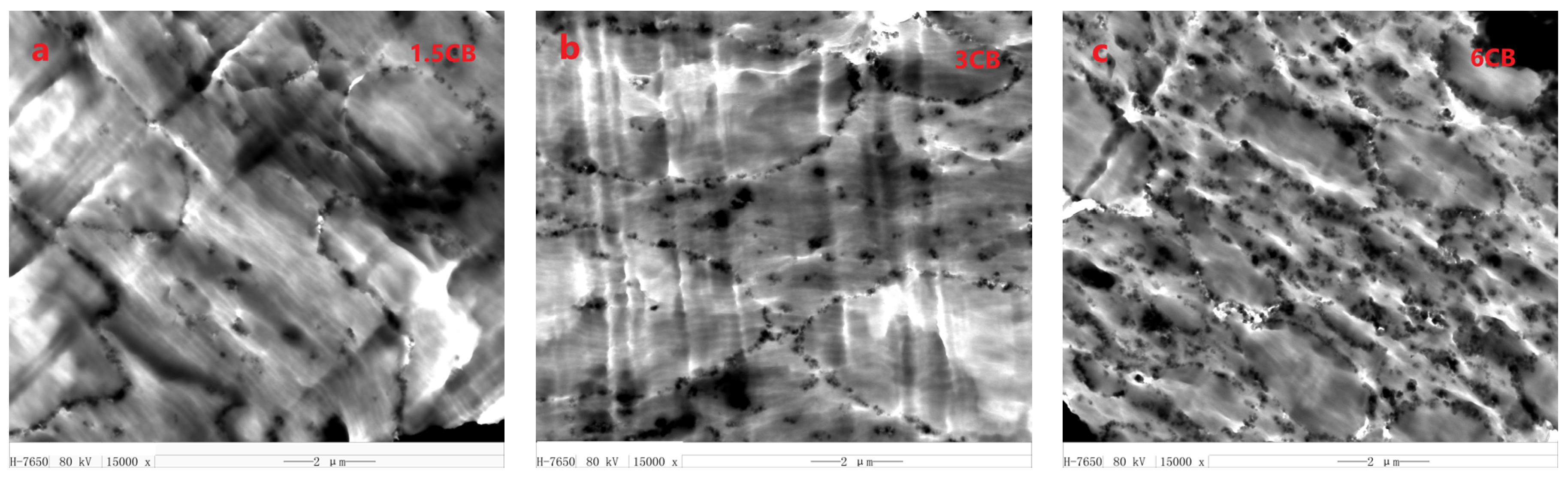 Polymers 13 02926 g003 550