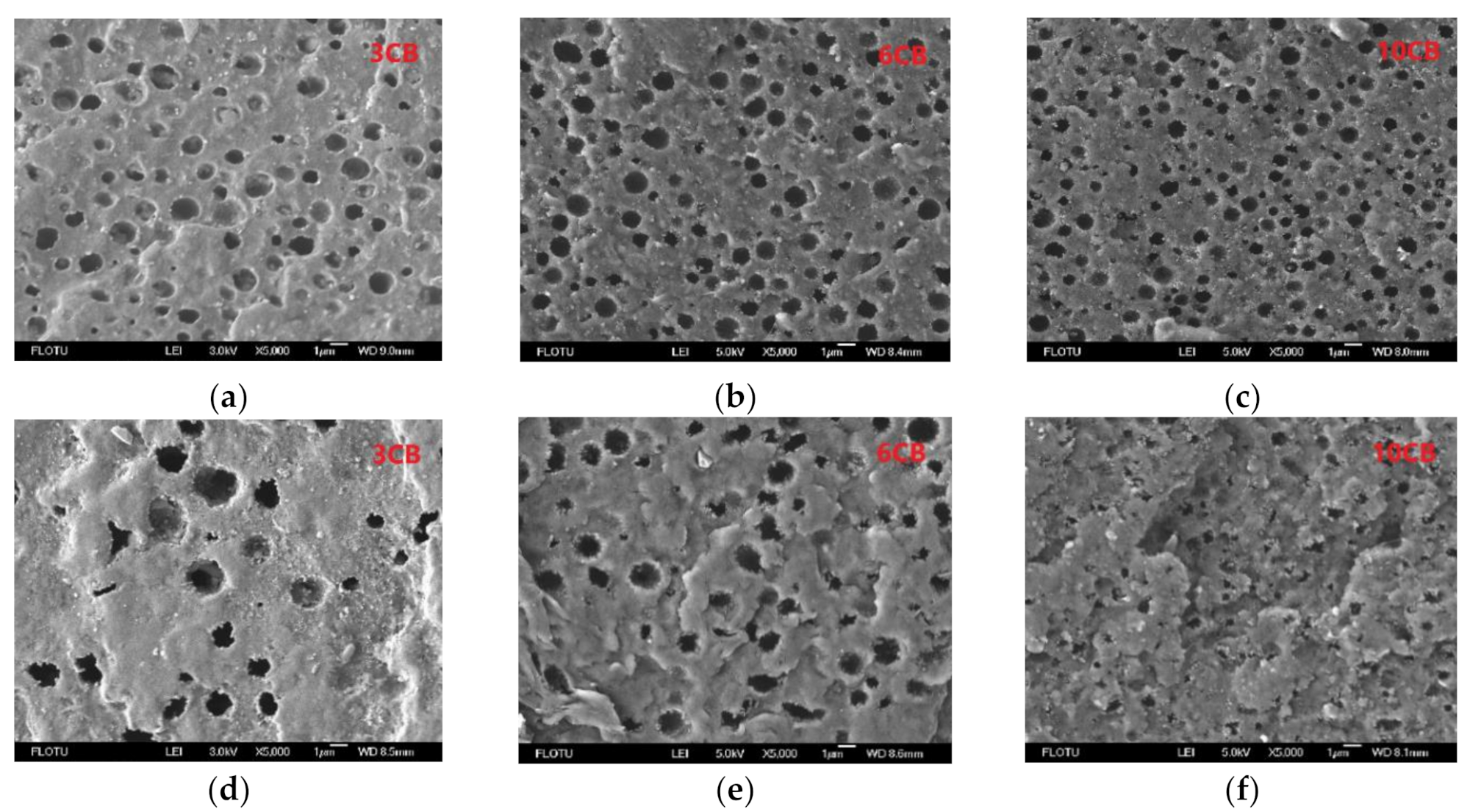 Polymers 13 02926 g004 550