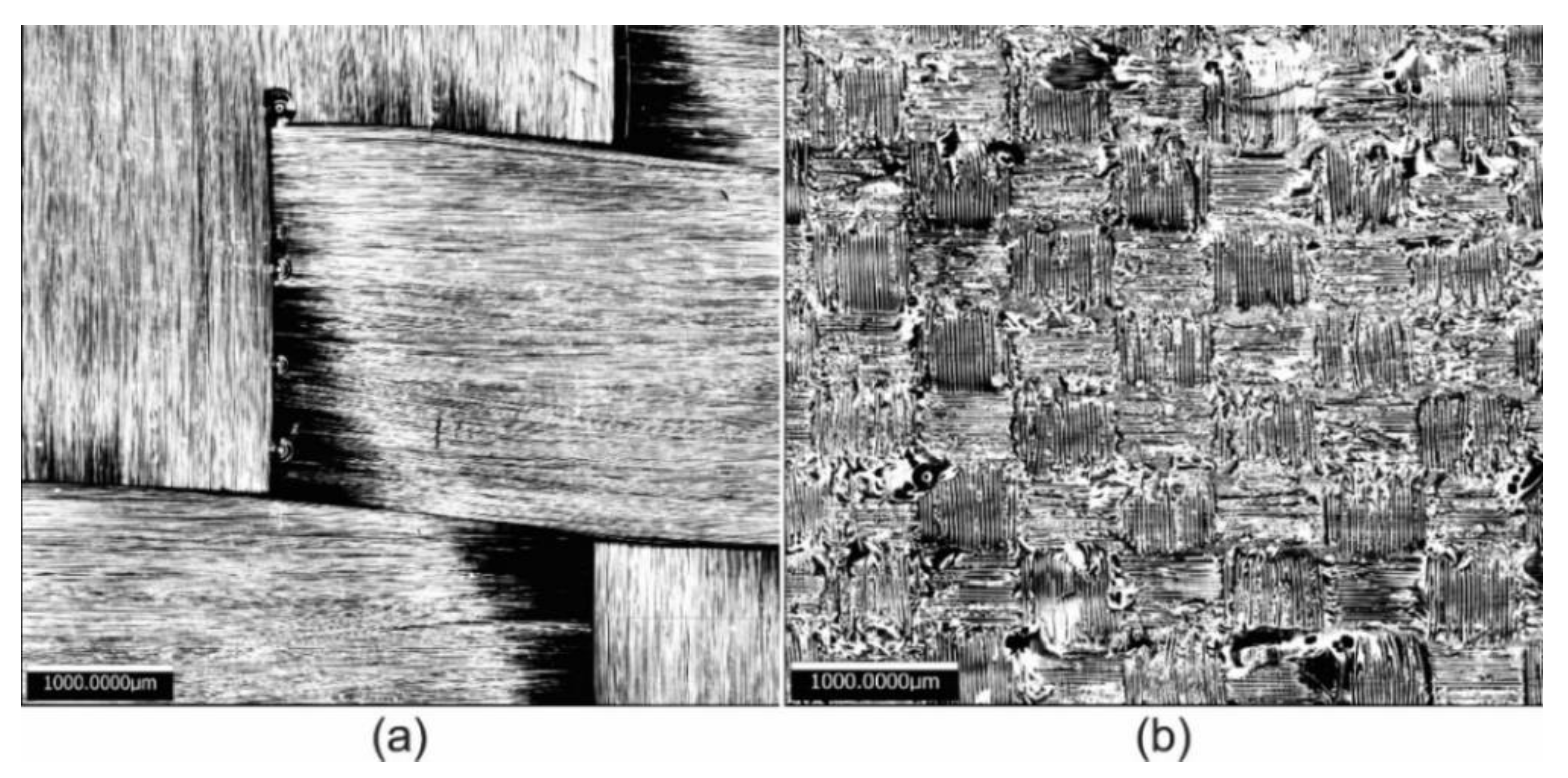 Polymers 13 02933 g002 550
