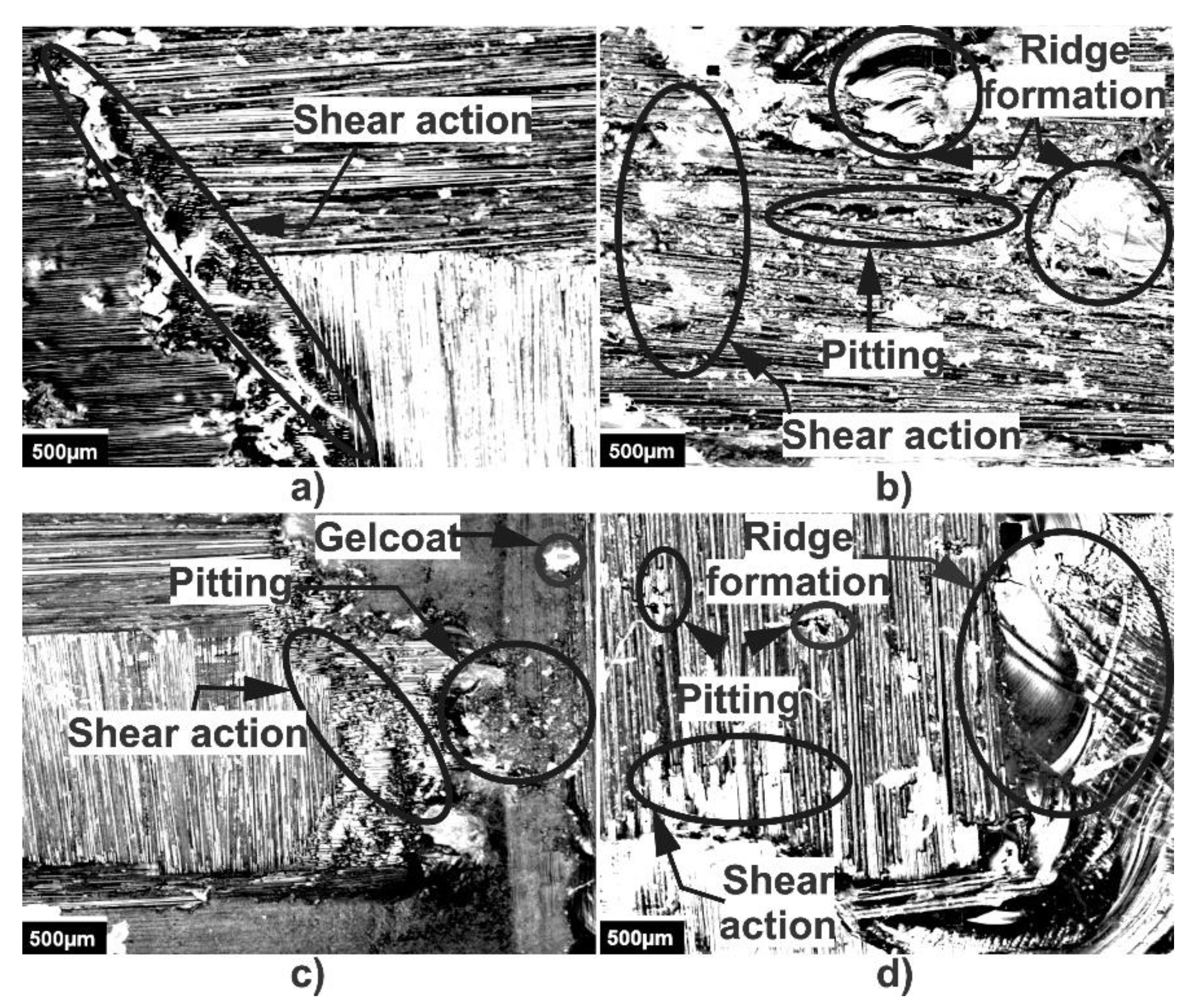 Polymers 13 02933 g008 550