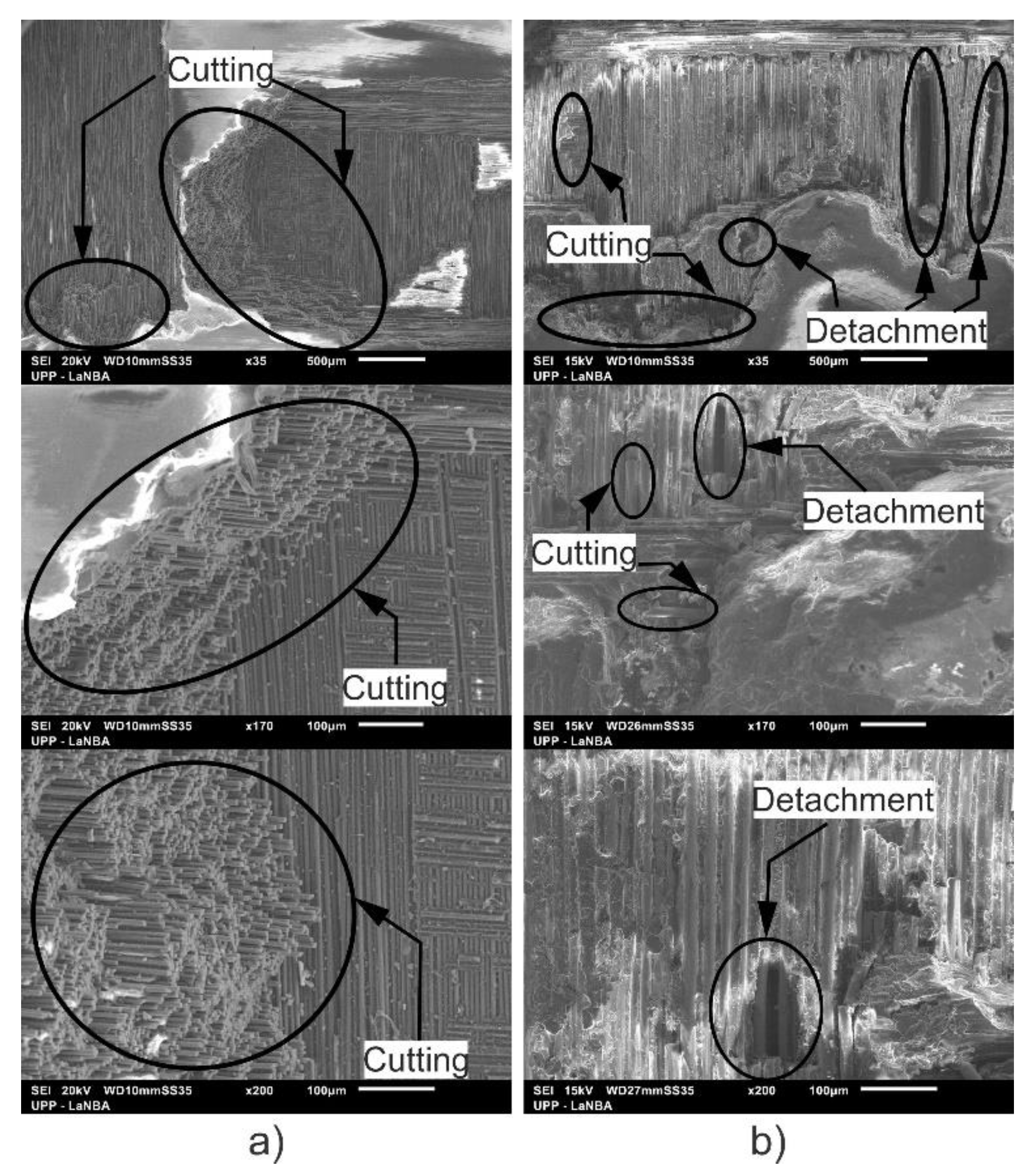 Polymers 13 02933 g009 550