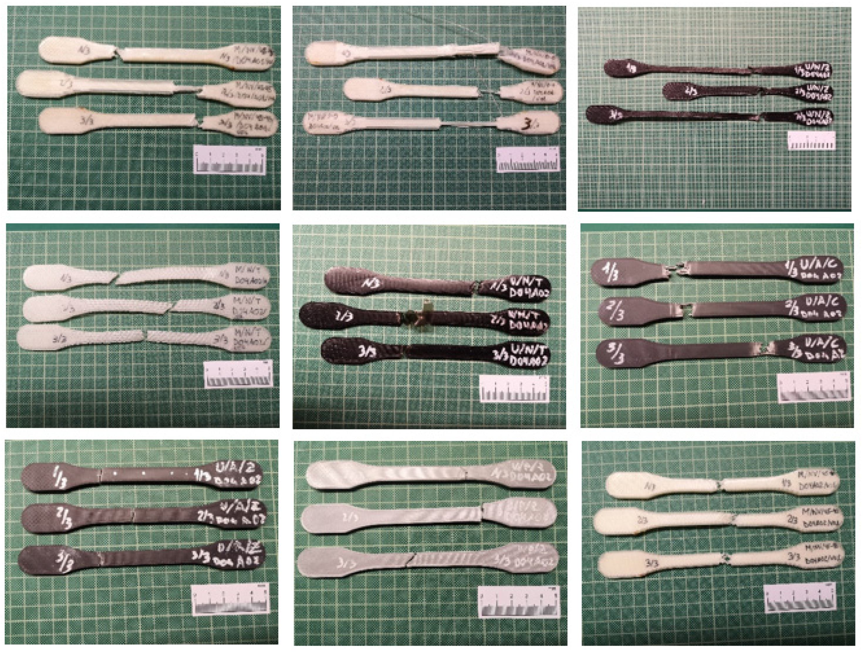 Polymers 13 02934 g003