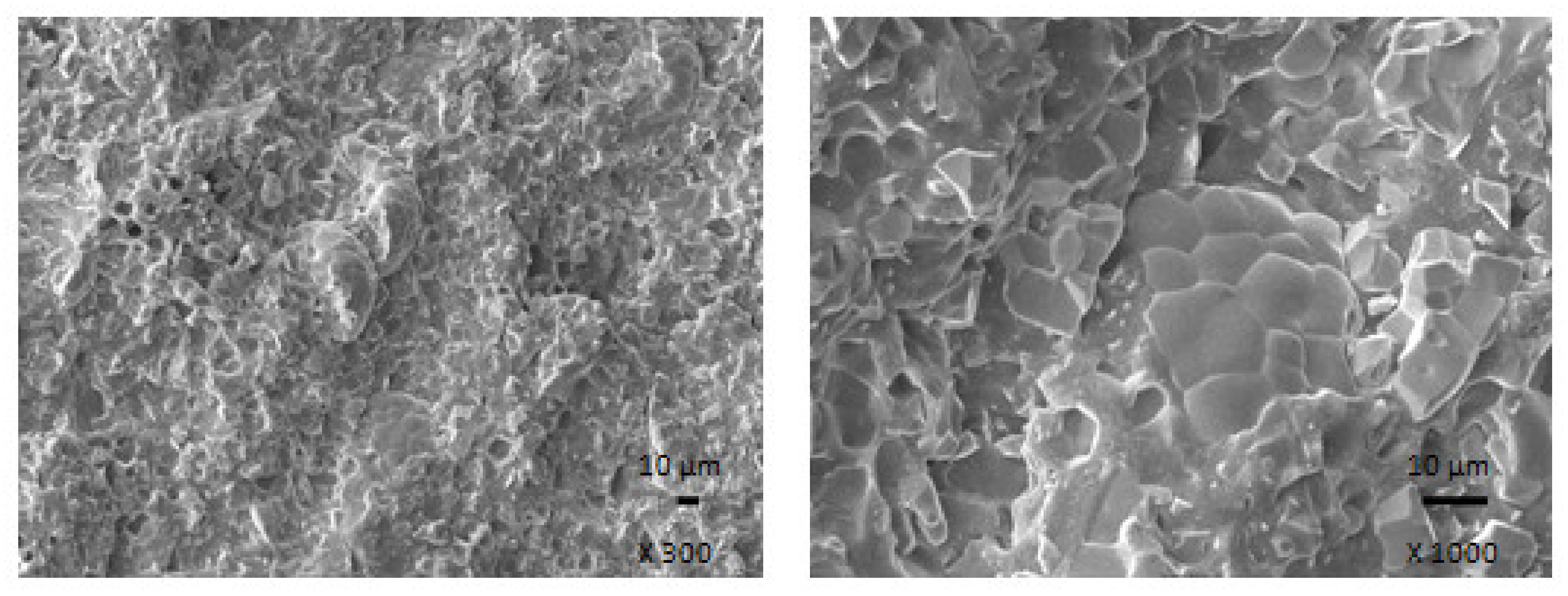 Polymers 13 02937 g017 550