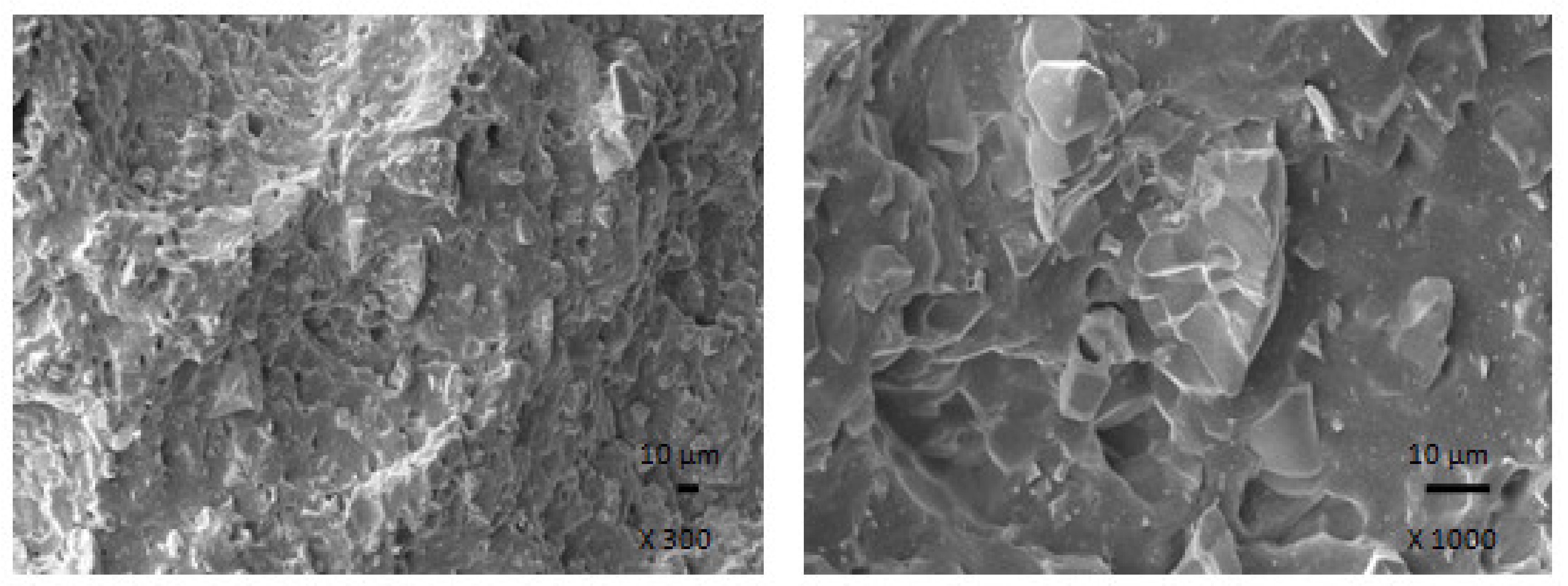 Polymers 13 02937 g018 550