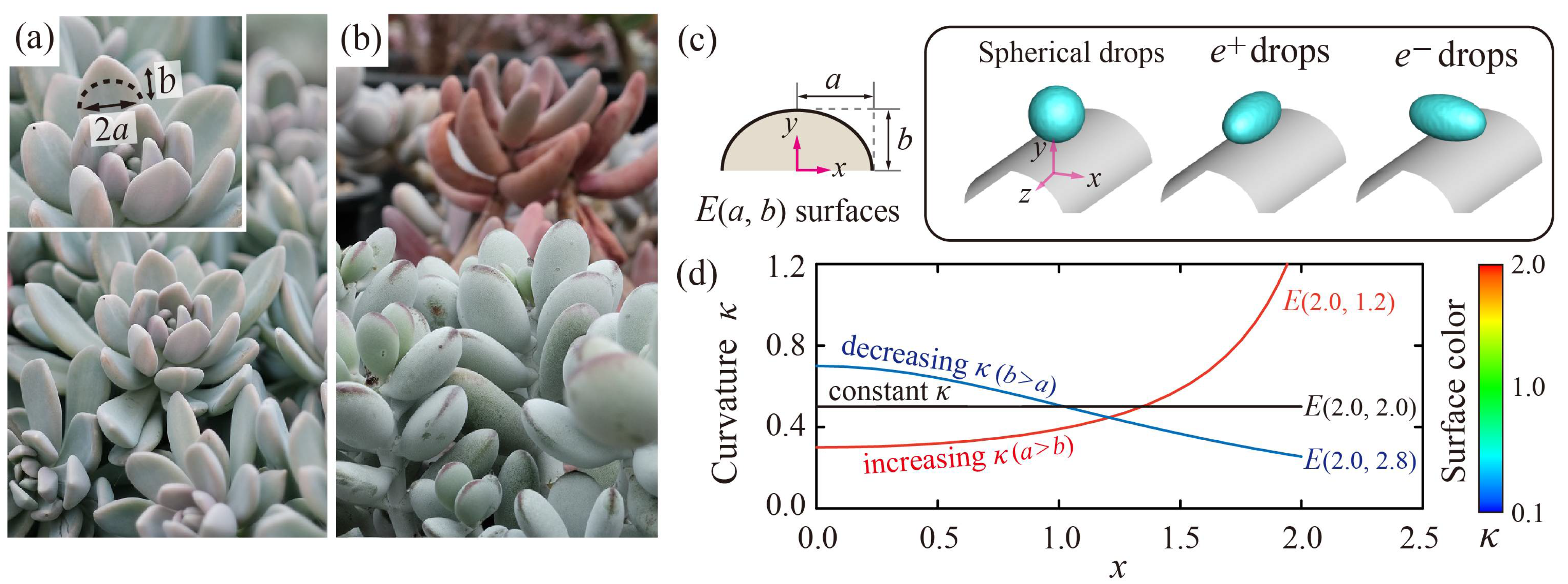 Polymers 13 02940 g001 550