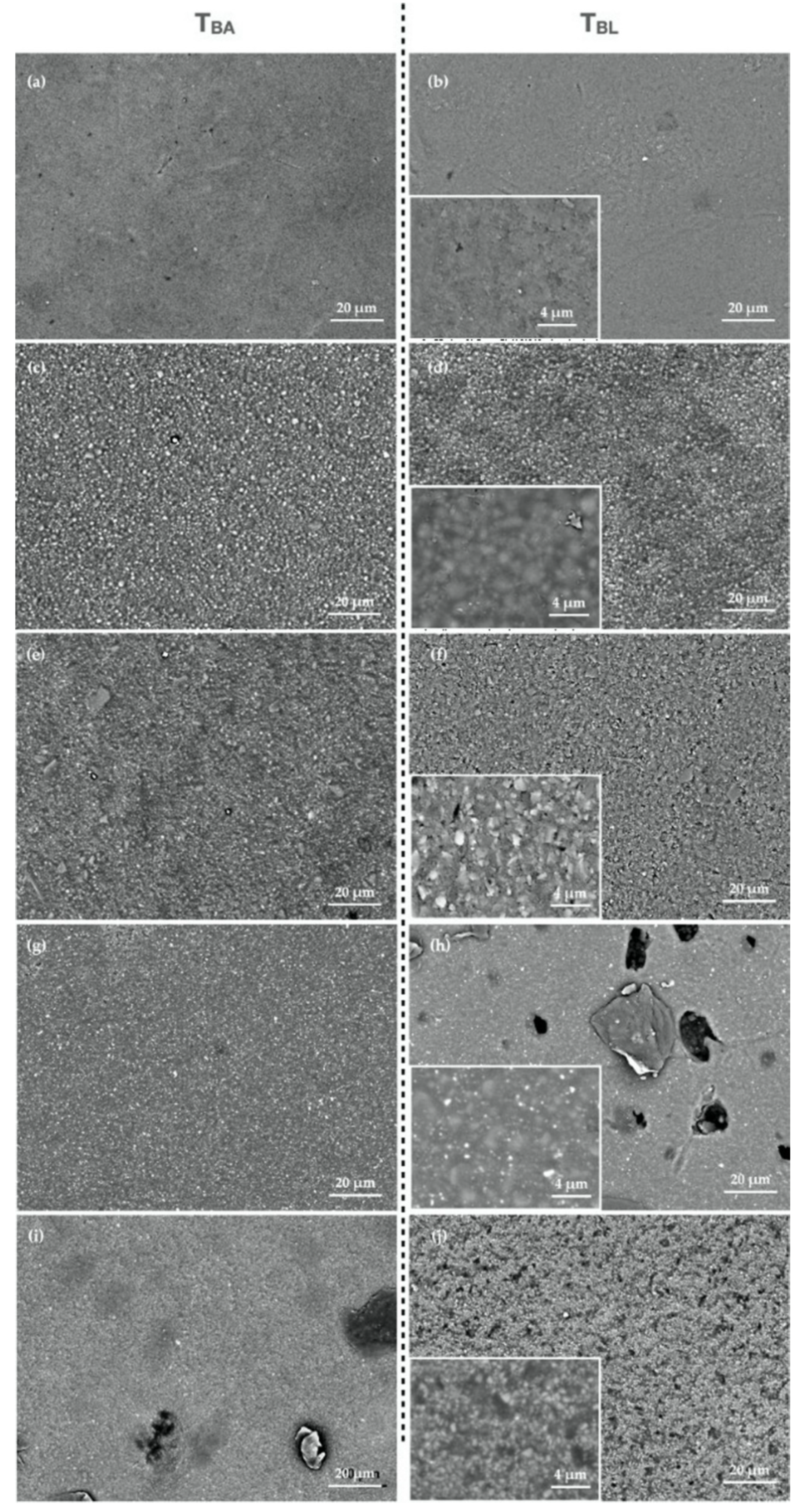 Polymers 13 02941 g002 Polymers 13 02941 g002