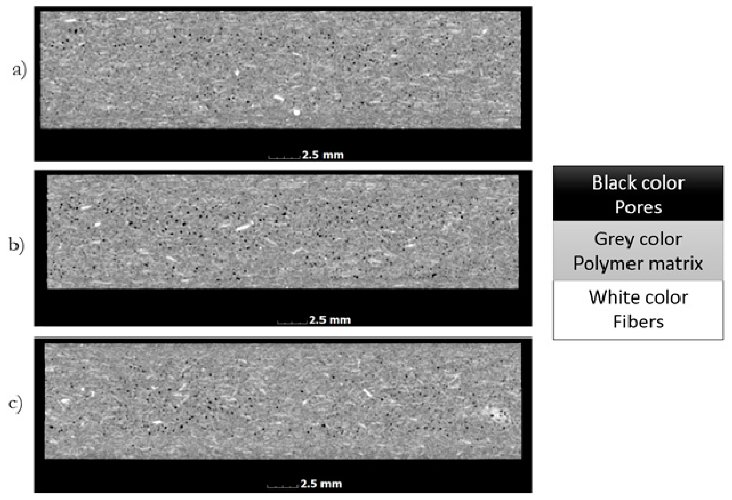 Polymers 13 02942 g002