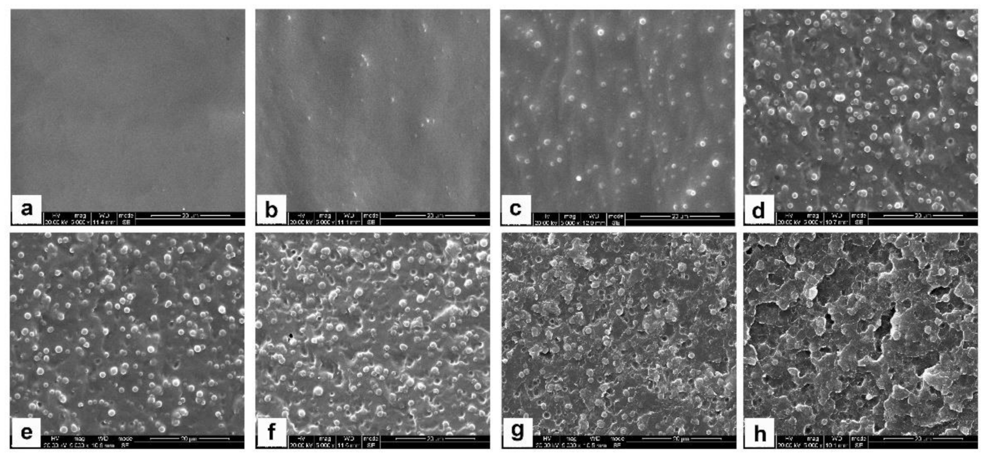 Polymers 13 02945 g005 550