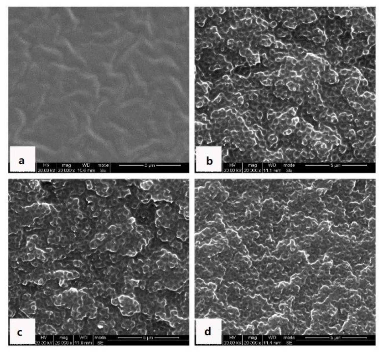 Polymers 13 02945 g007 550